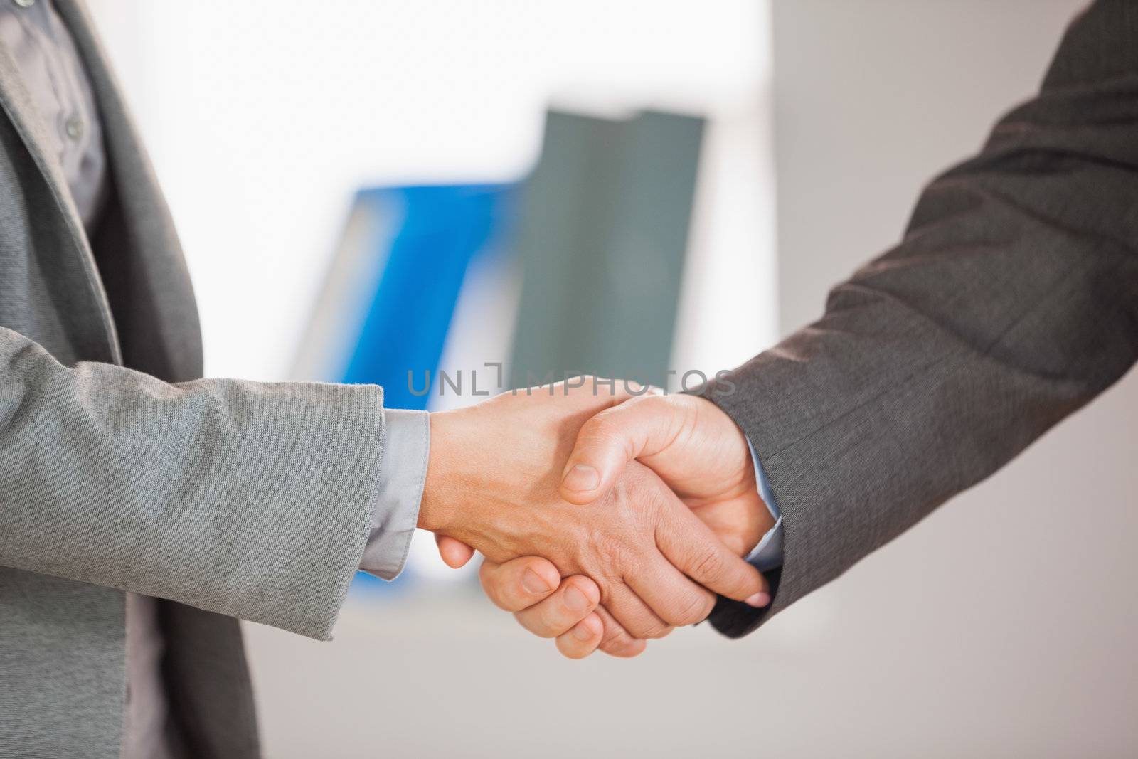 A businessman and a businesswoman having a handshake in an office