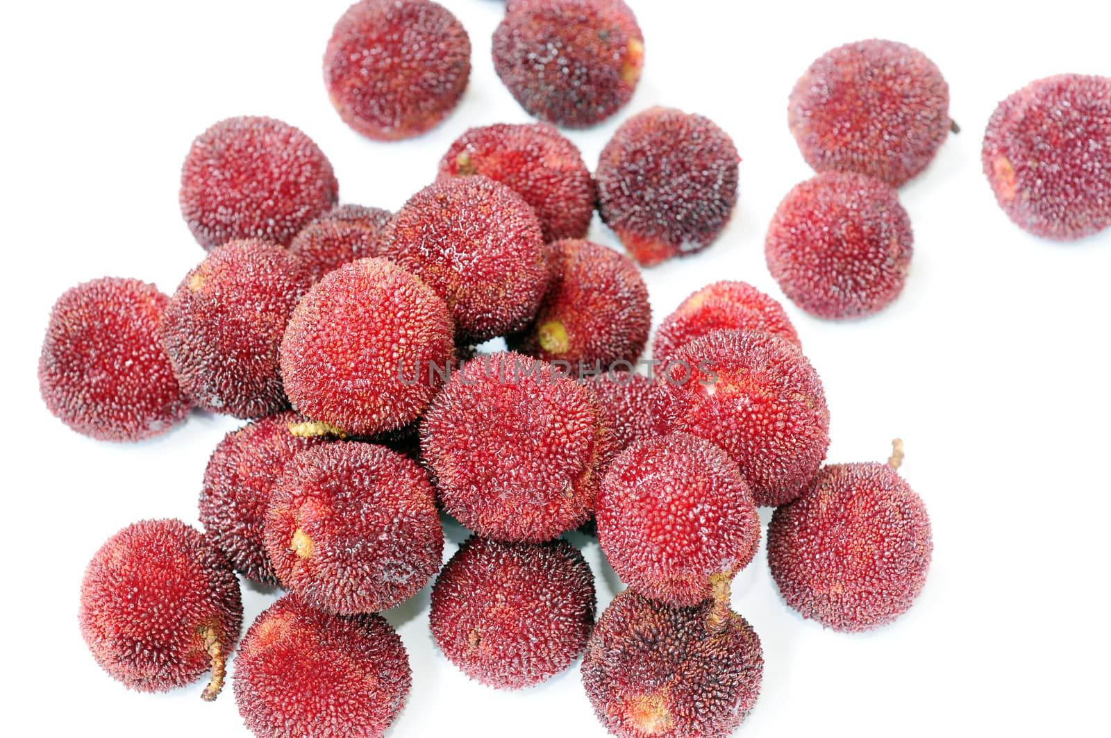 Closeup view of fresh red bayberry fruits