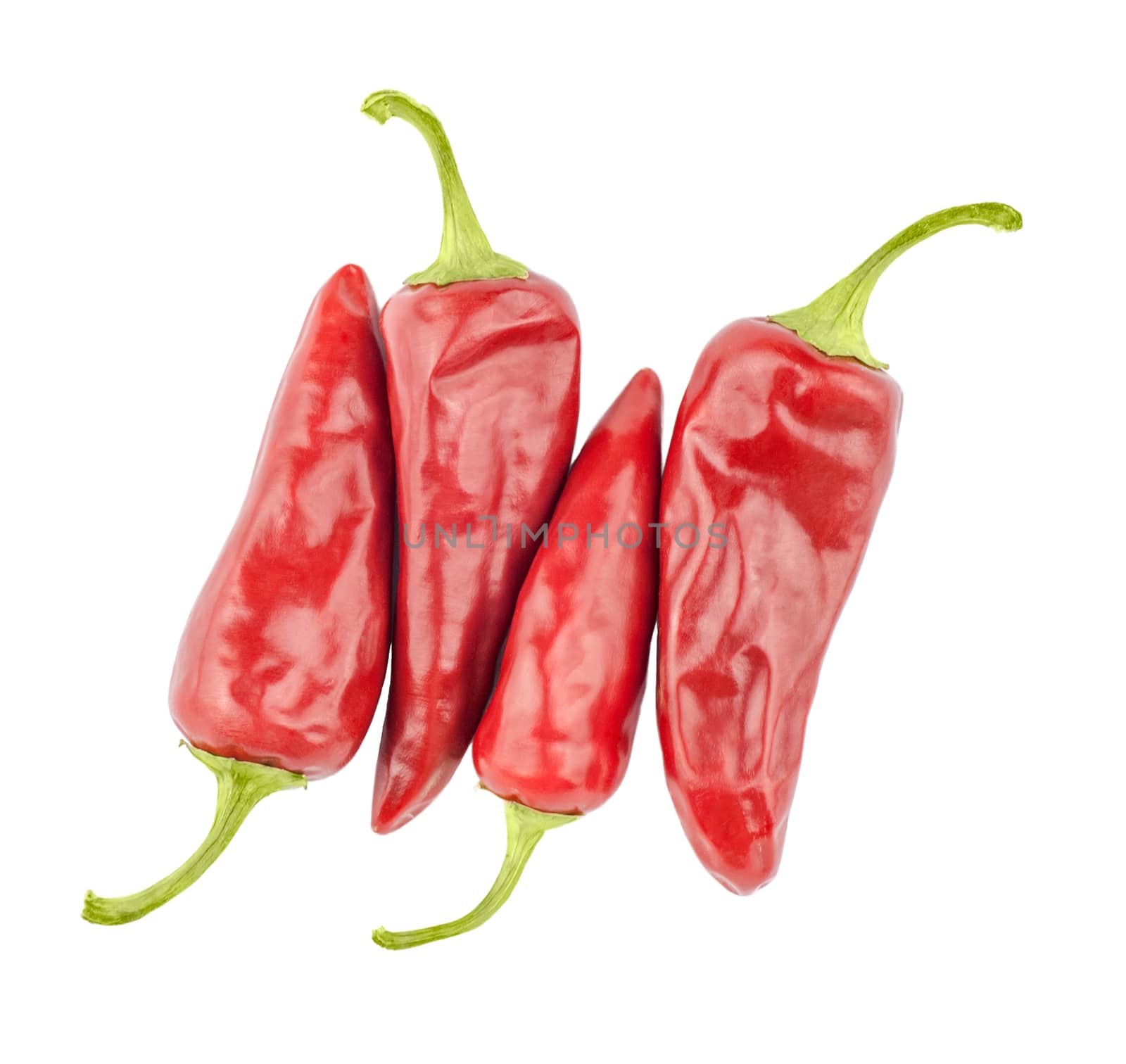 red  peppers isolated on a white background by Zhukow