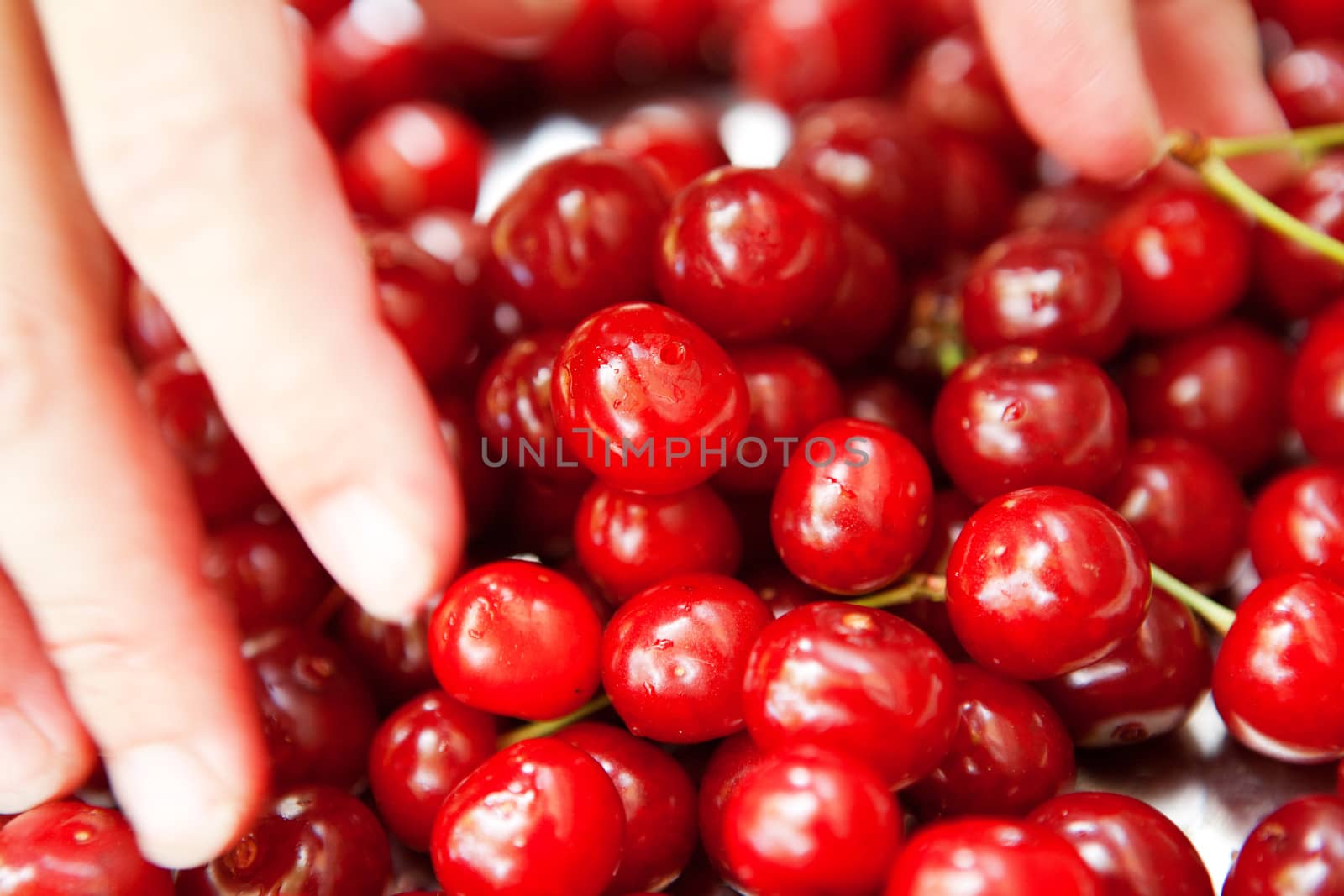 many ripe cherries in the plate