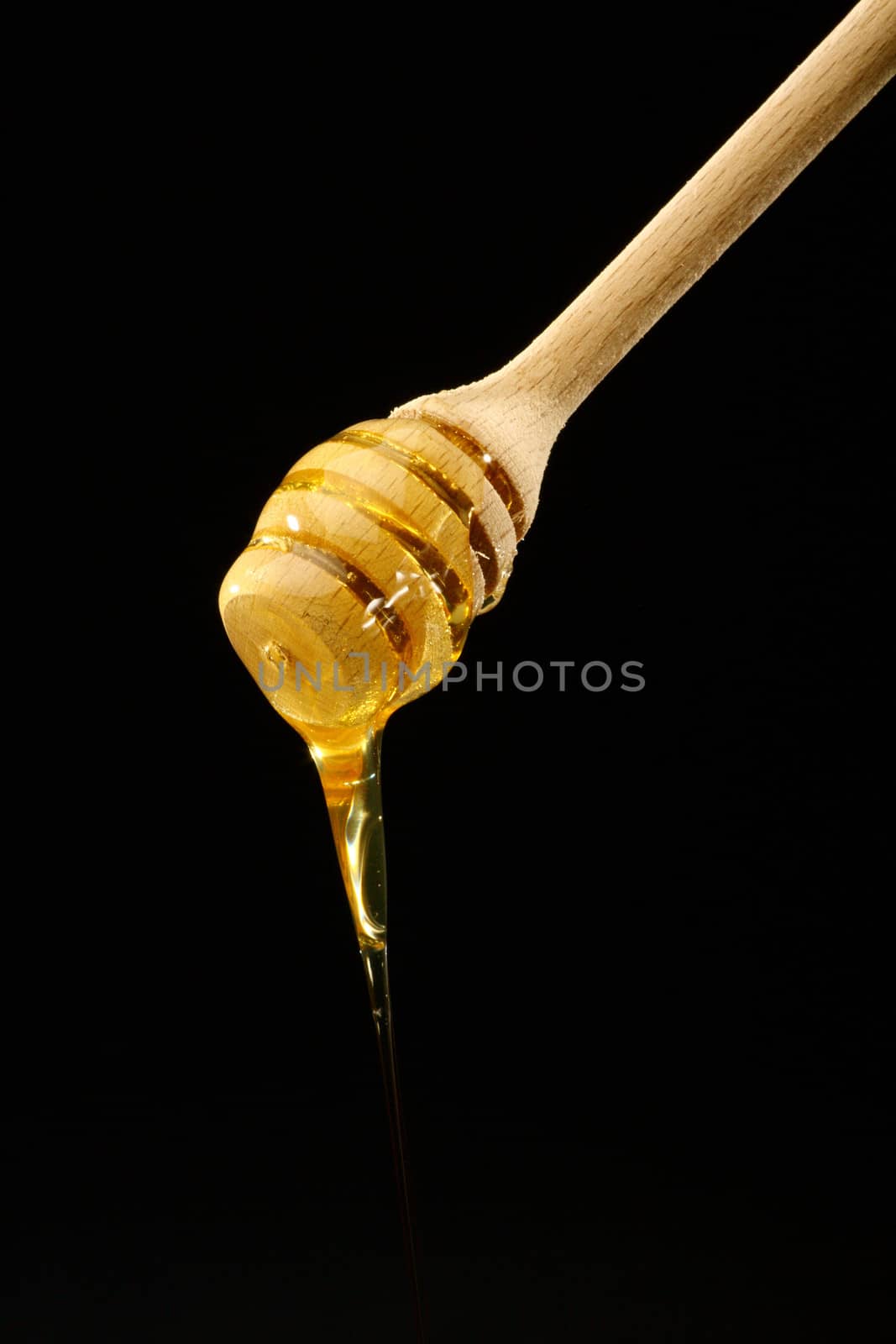  honey dipper by alexkosev