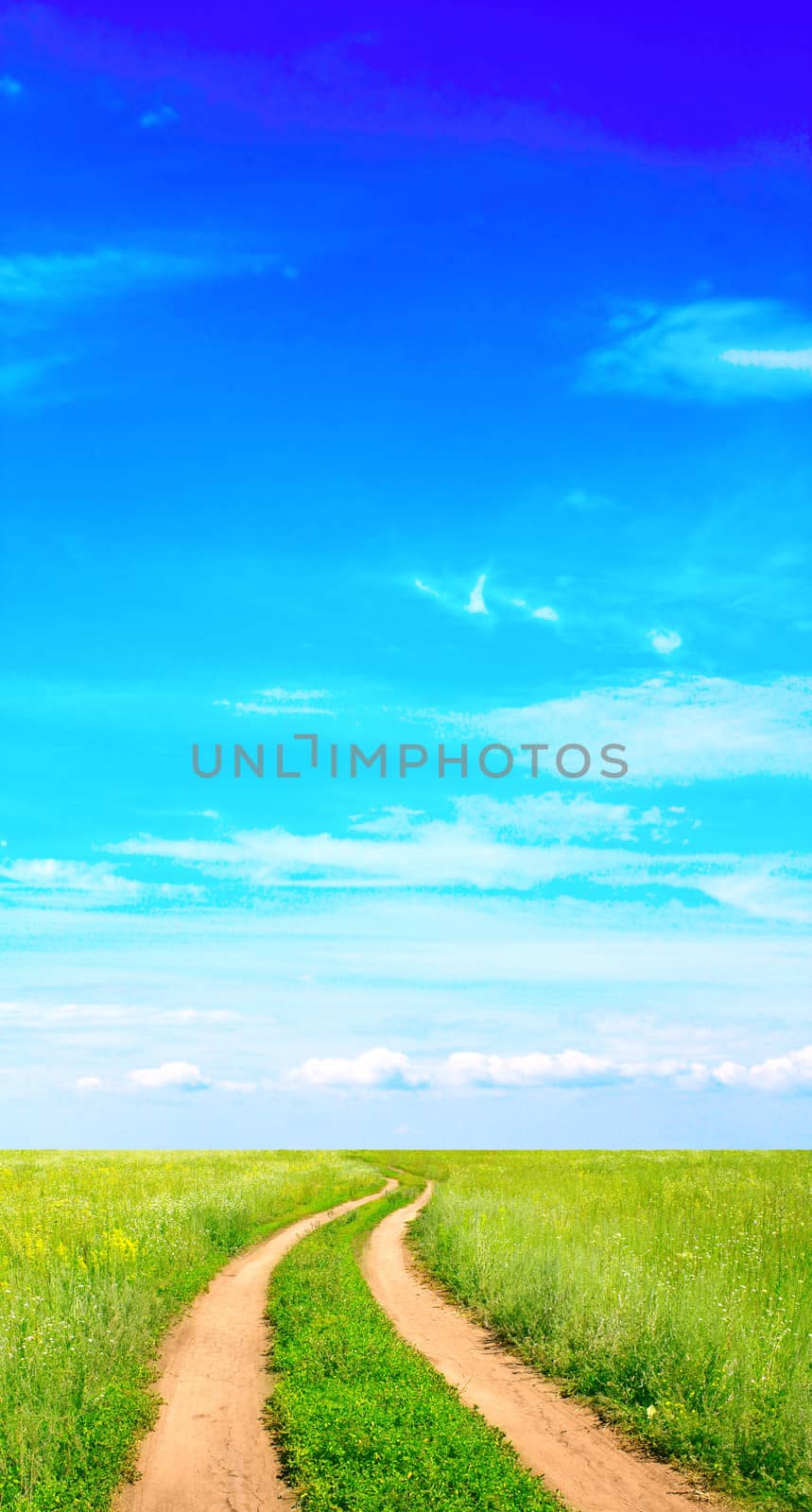 Rural summer landscape with old road