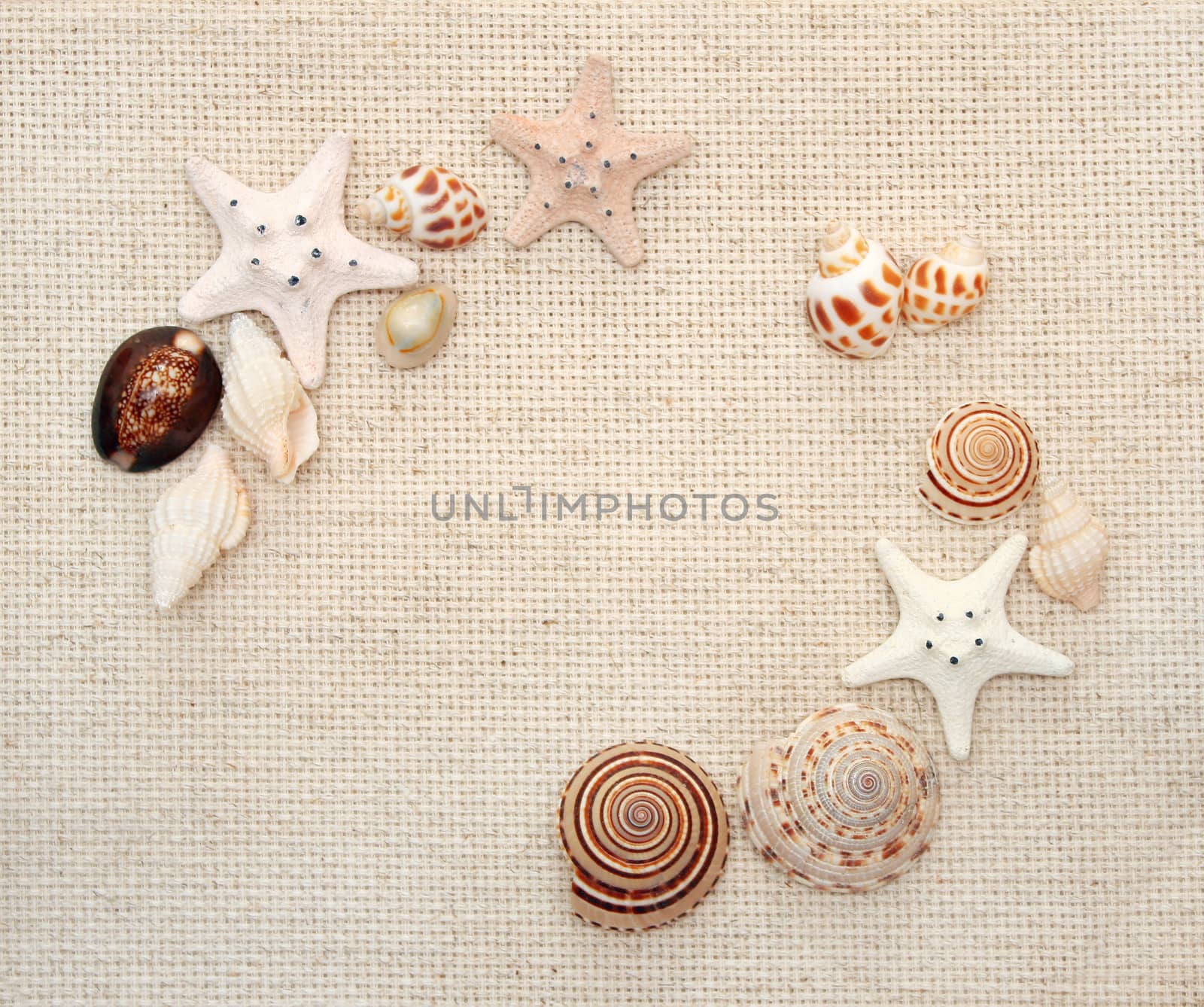 Background with starfishes and conches on canvas texture