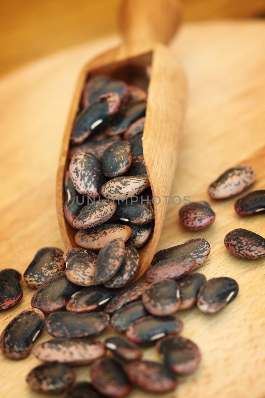 Giant black beans close up shallow dof