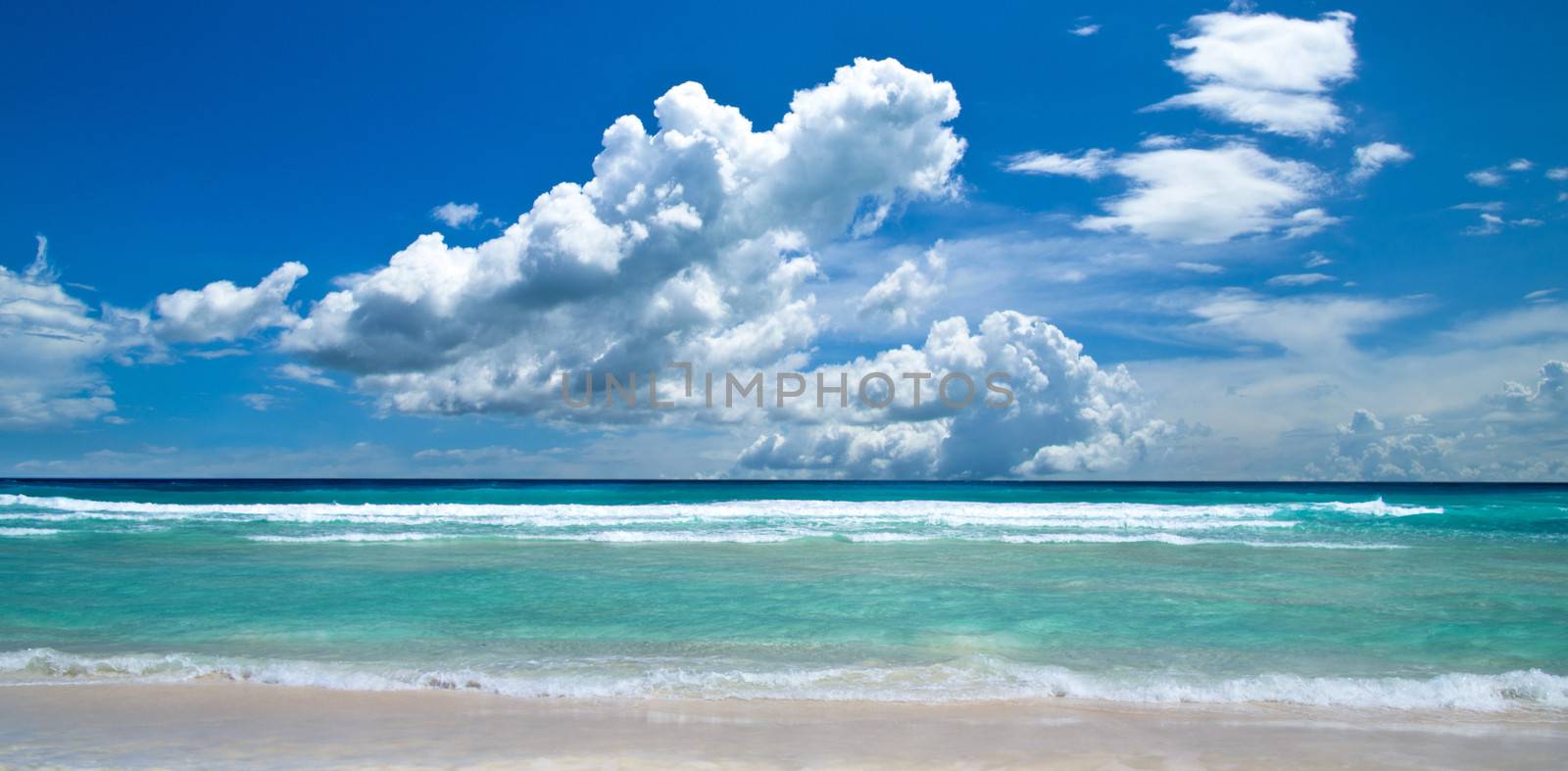 beautiful beach and tropical sea