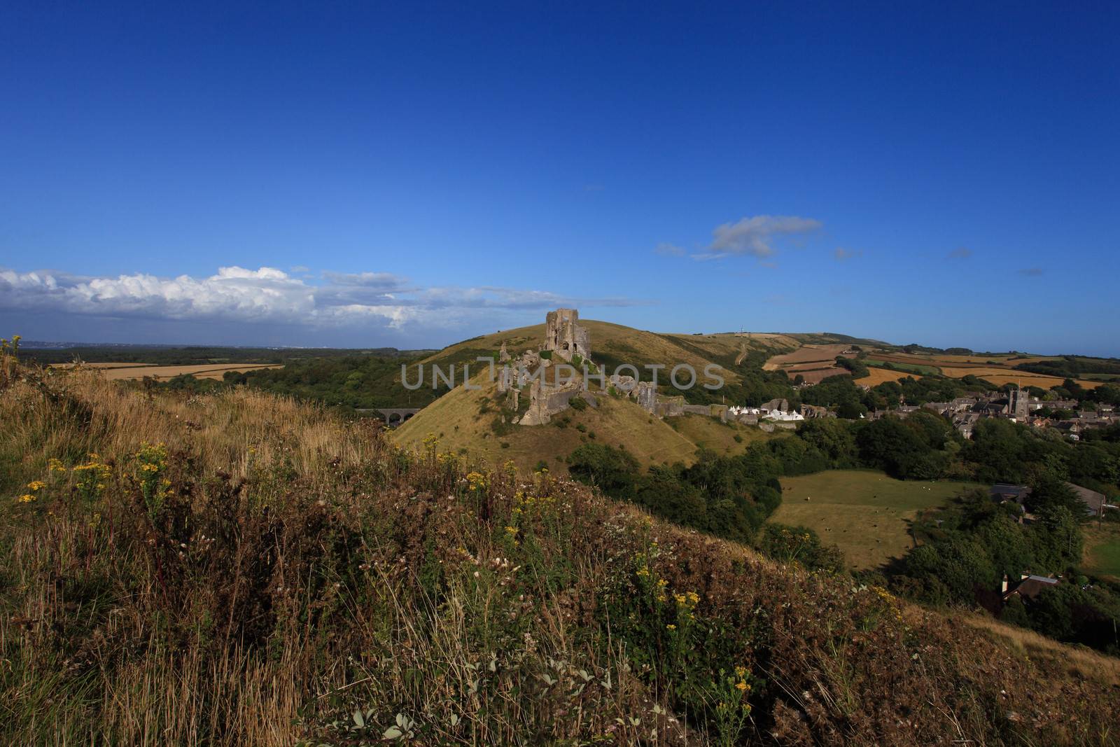 Corfe Castle Dorset by olliemt