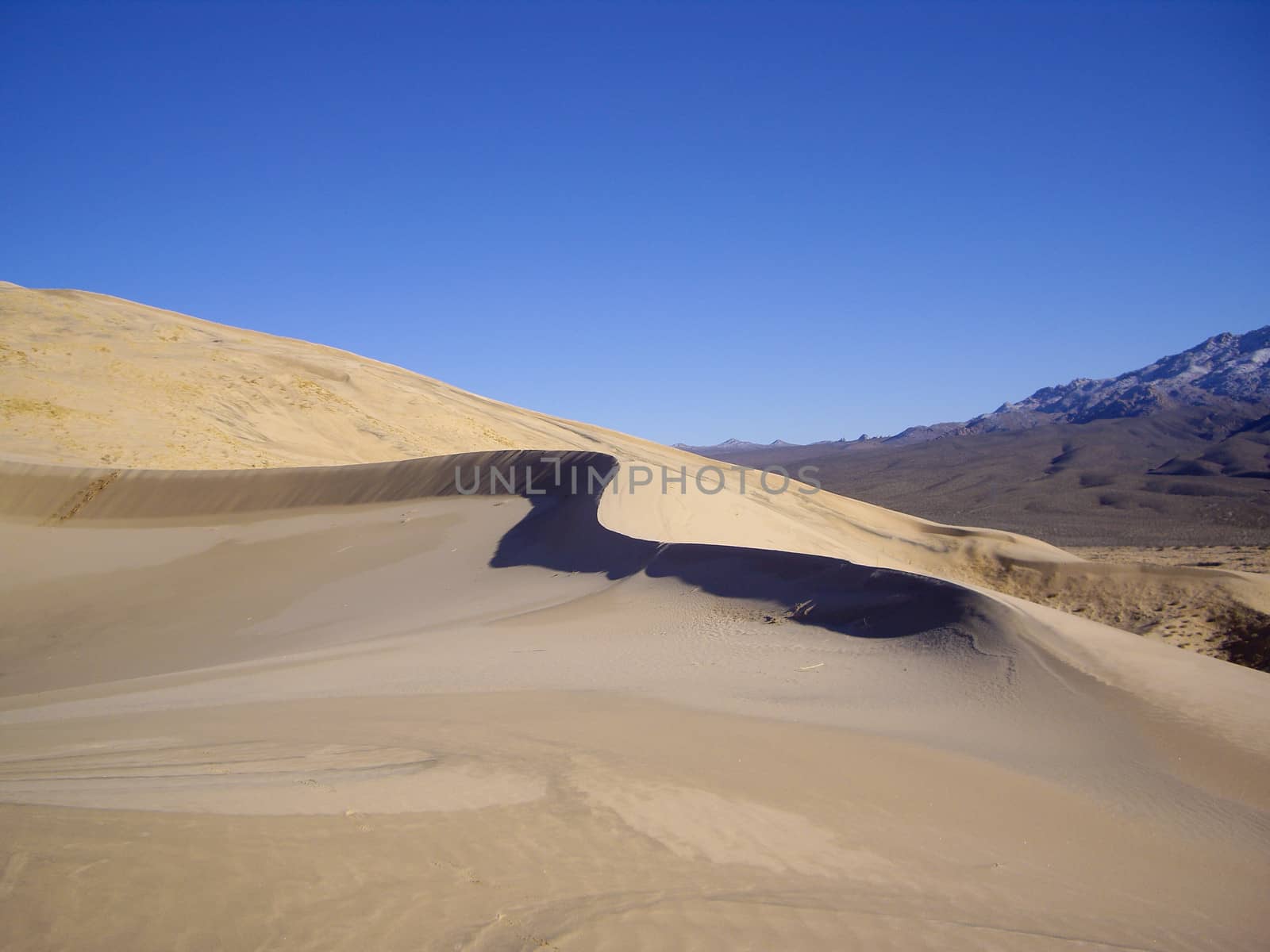 Kelso Dunes in Winter light