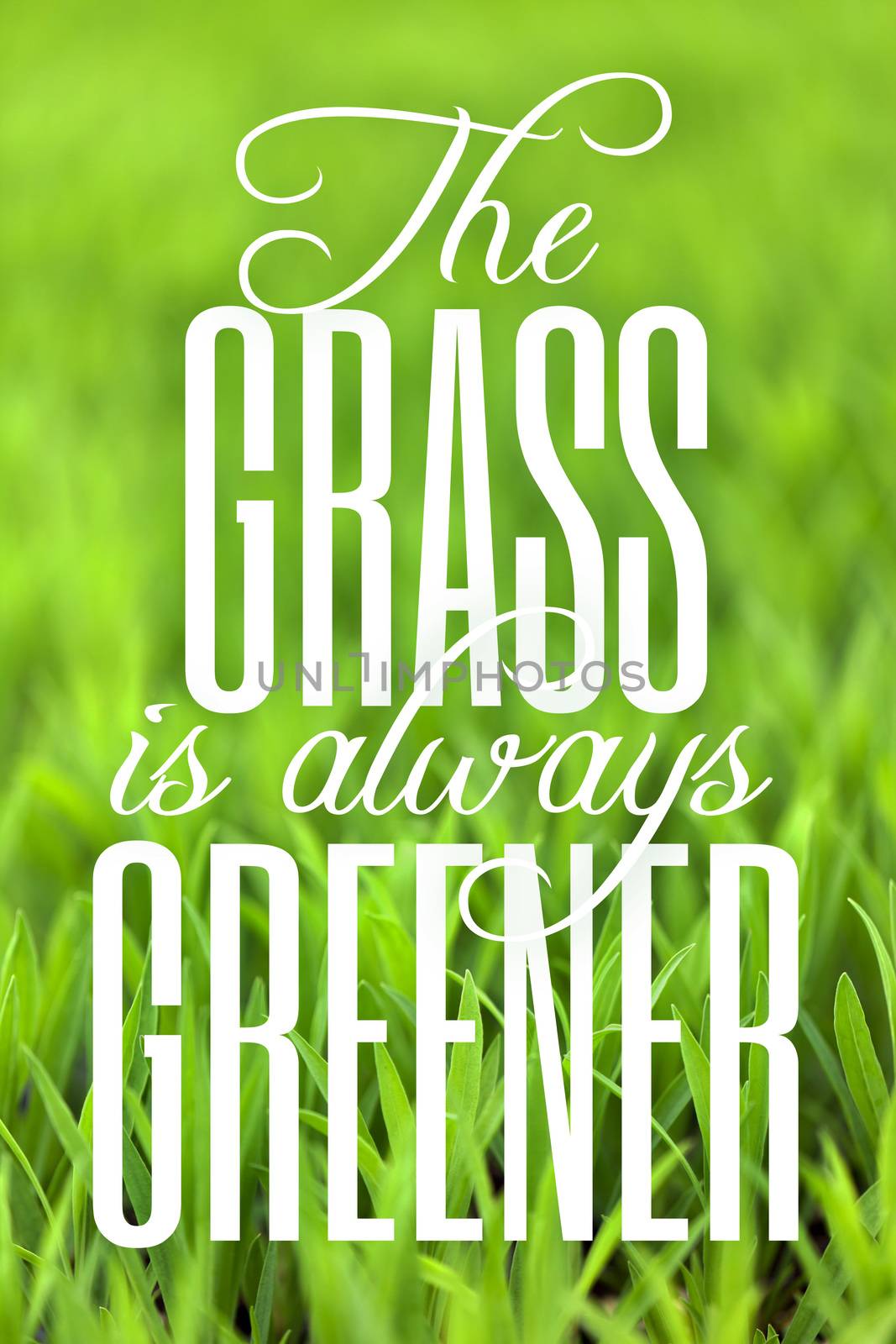 Green grass with typography quote about the grass always being greener on the other side.