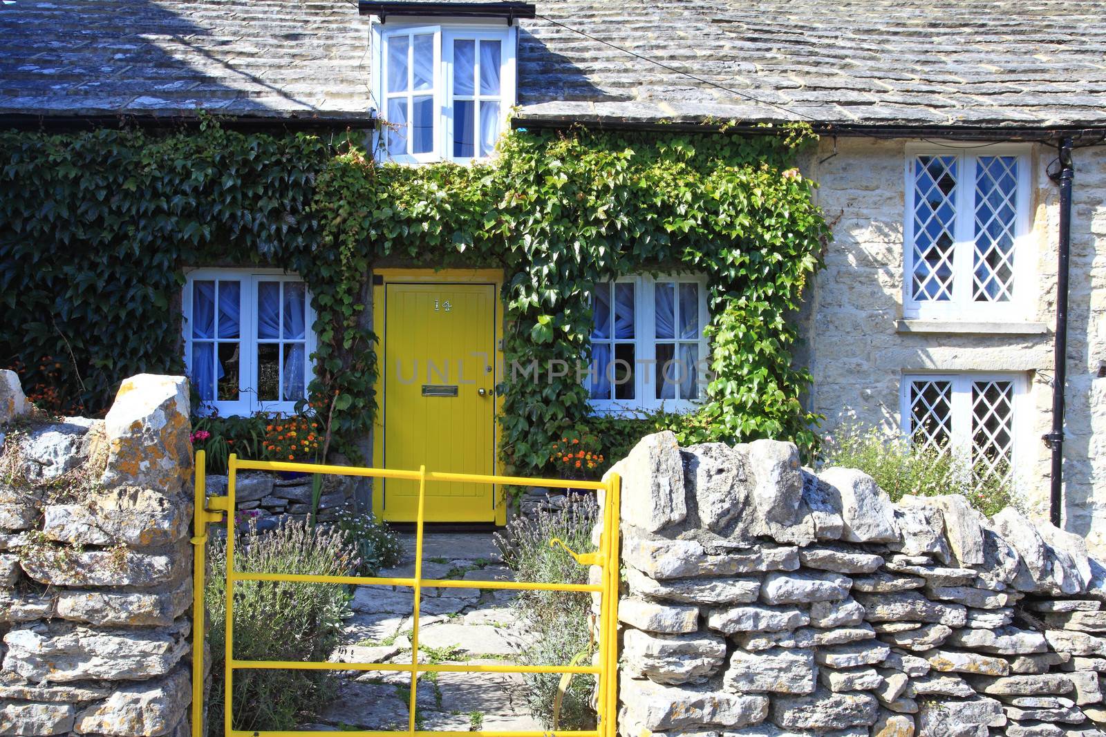 English Traditional Cottage in South Dorset UK