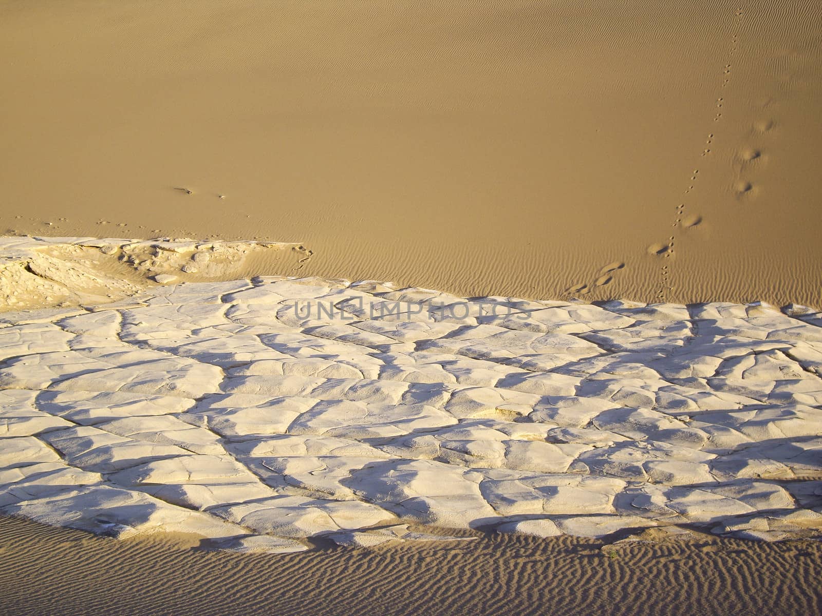 Cracked mudflat at Death Valley USA