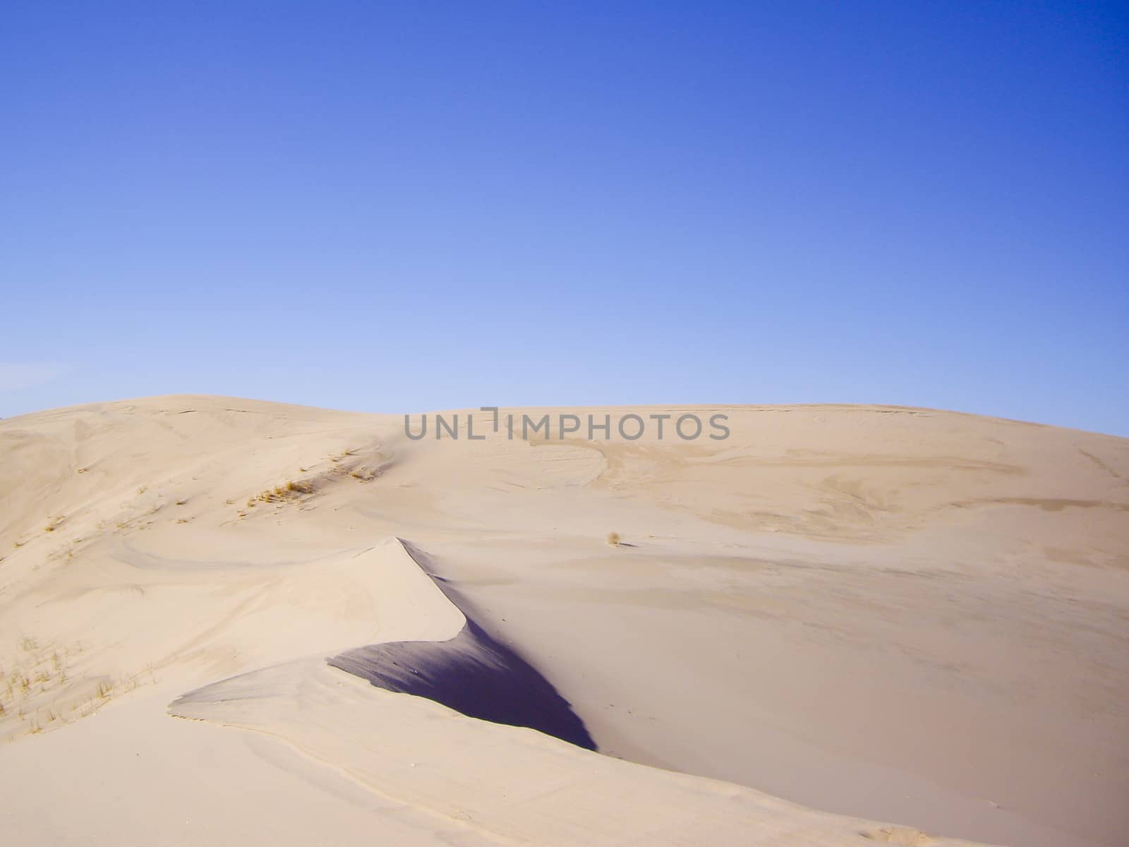 Sand ridges at Keso Dunes, California