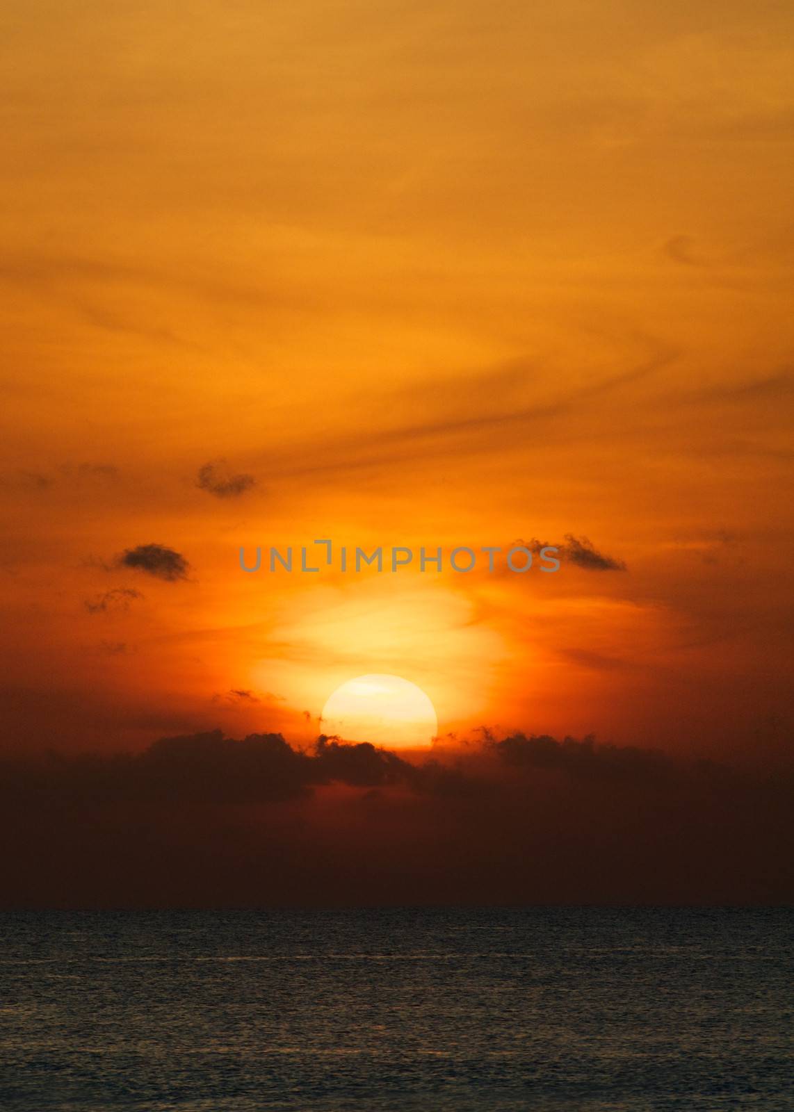 Beautiful Orange Ocean Sunset outdoors