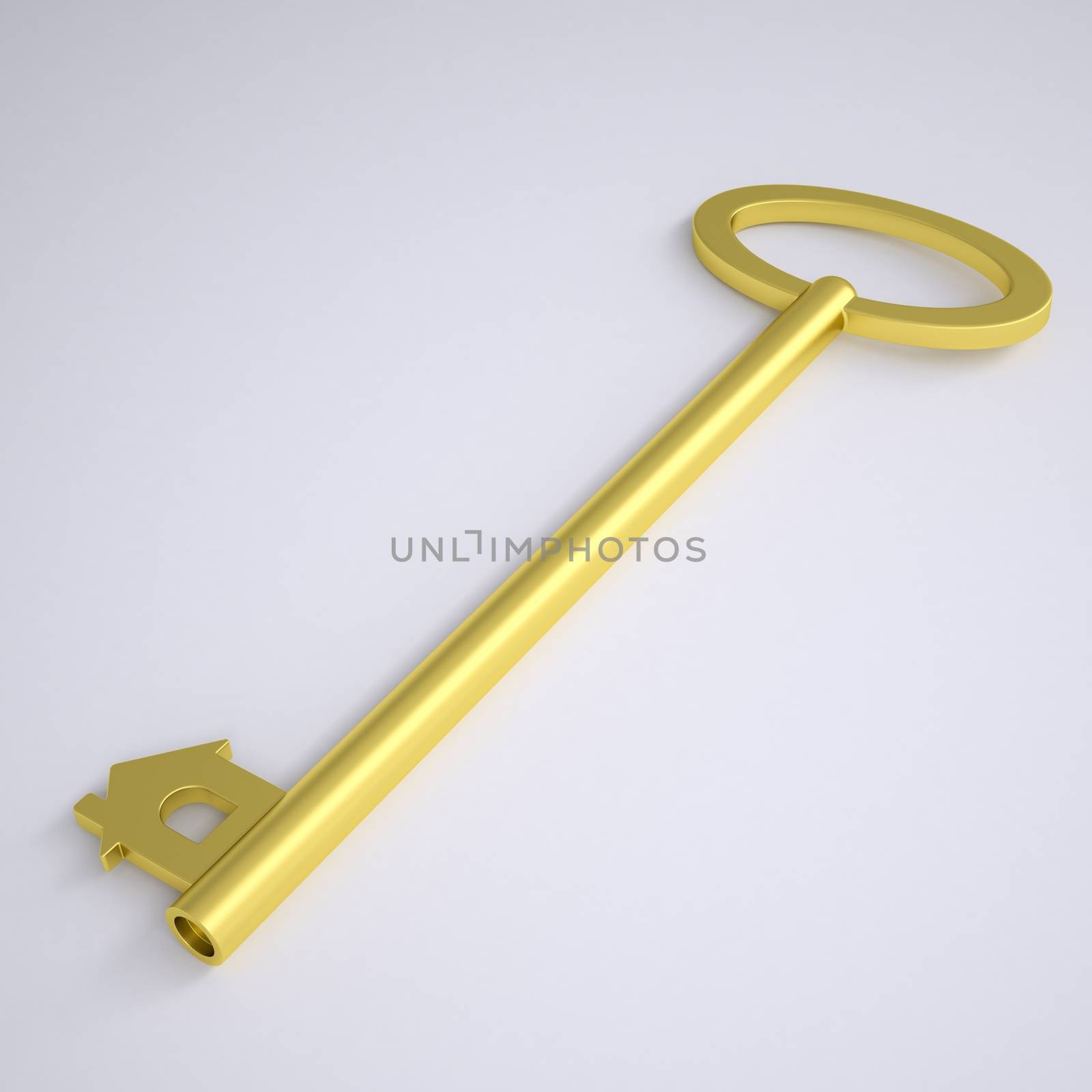 Key with home icon. Render on a gray background