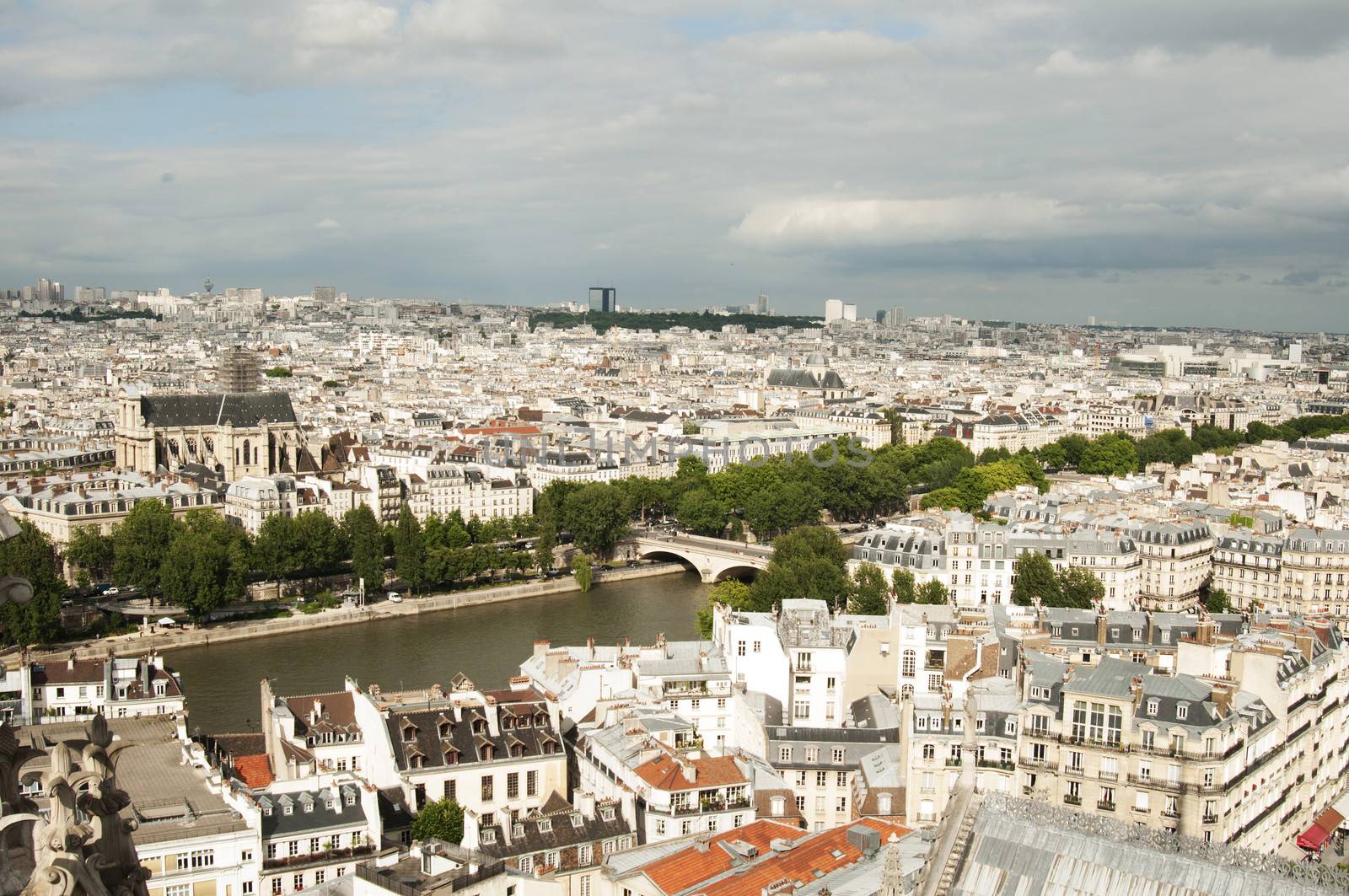 View from Notre- Drame Cathedral, Paris by rodrigobellizzi