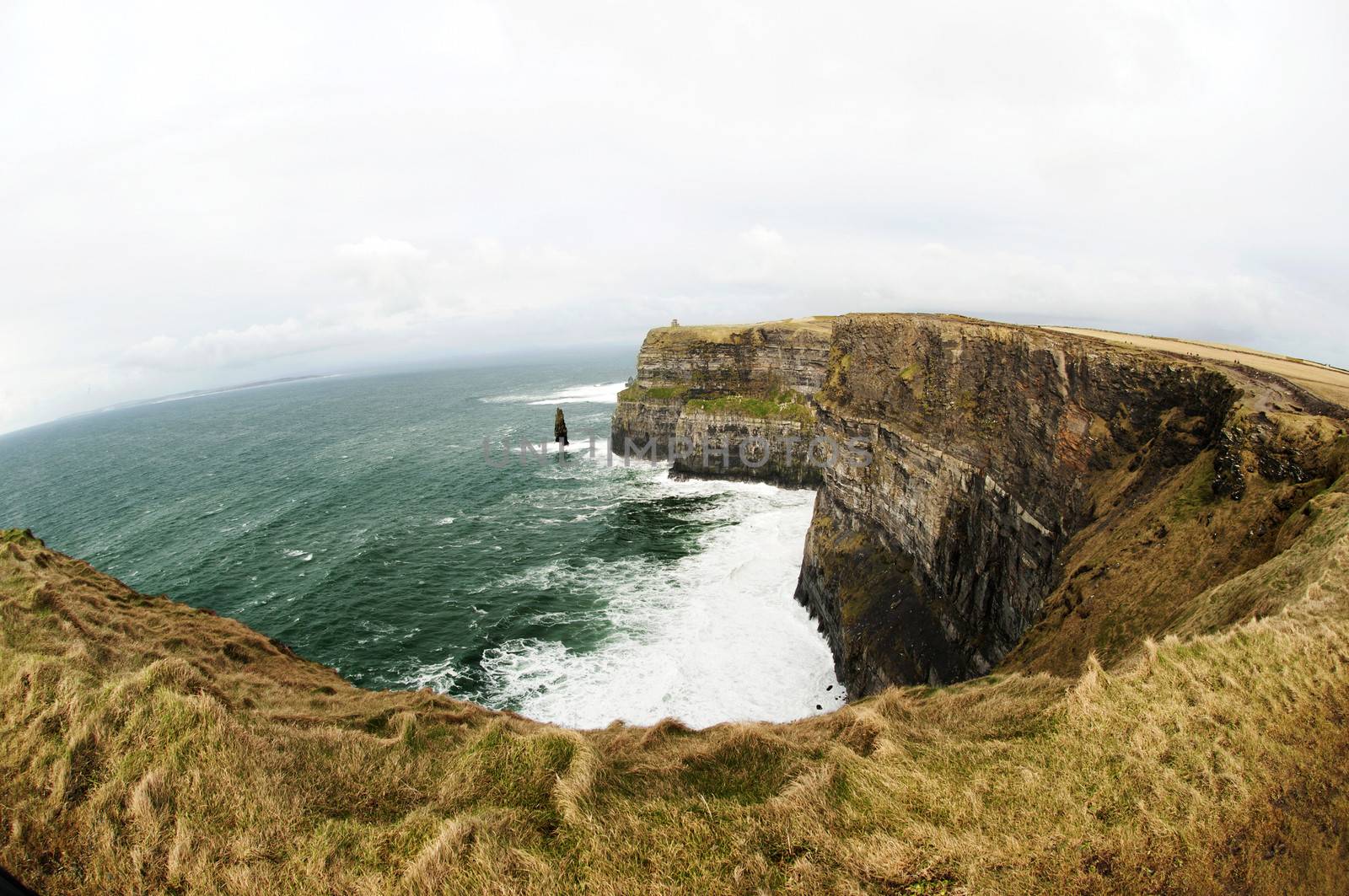 Cliffs of Moher, Ireland by rodrigobellizzi