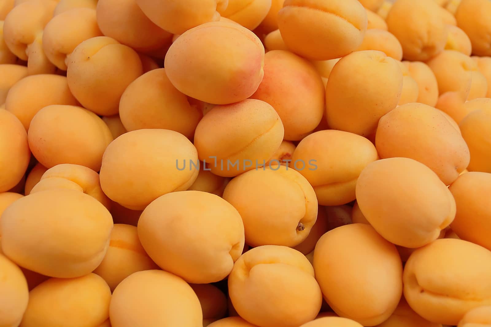 Image of background yellow ripe apricots