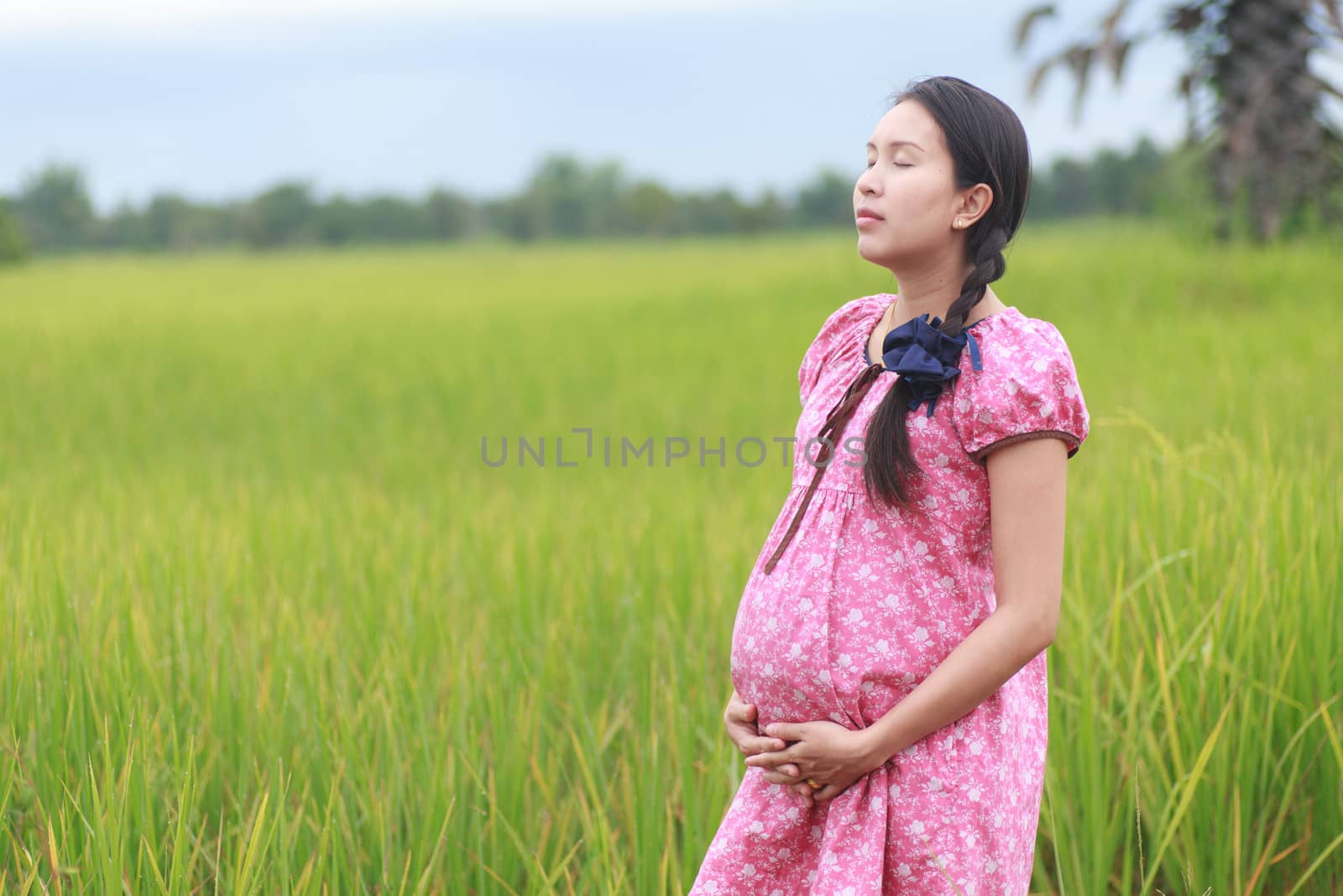 Pregnant woman on green meadow.