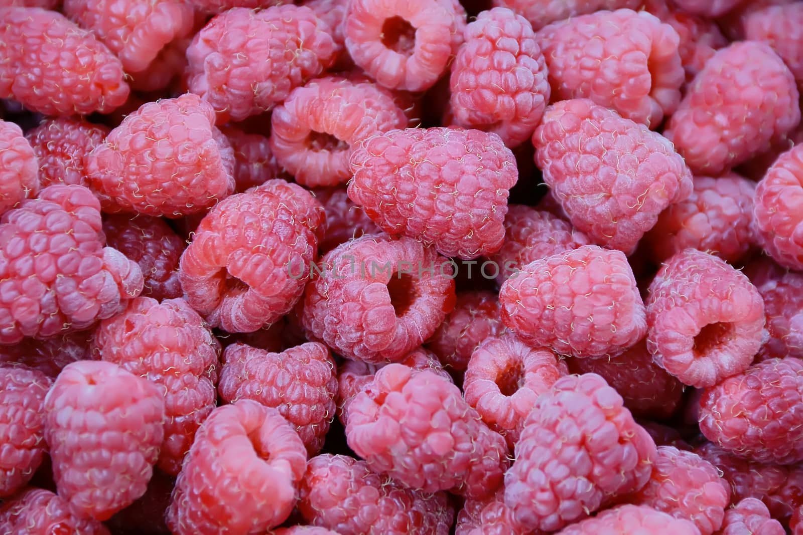 Image of the background fresh red raspberry