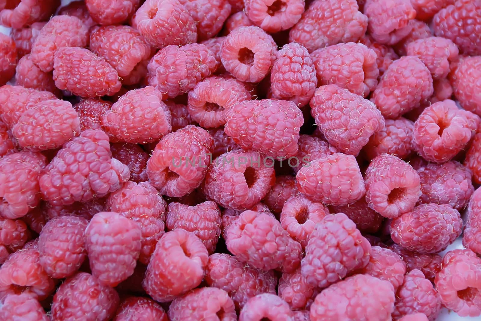 Image of the background fresh red raspberry