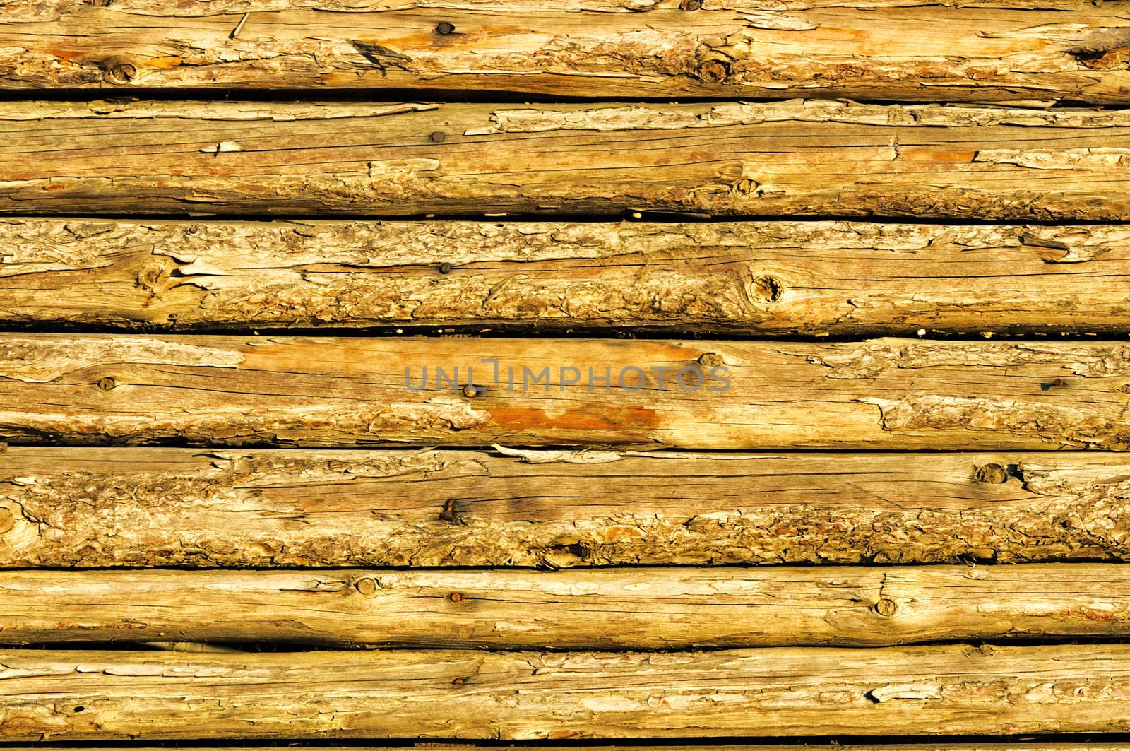 Wooden texture by badmanproduction