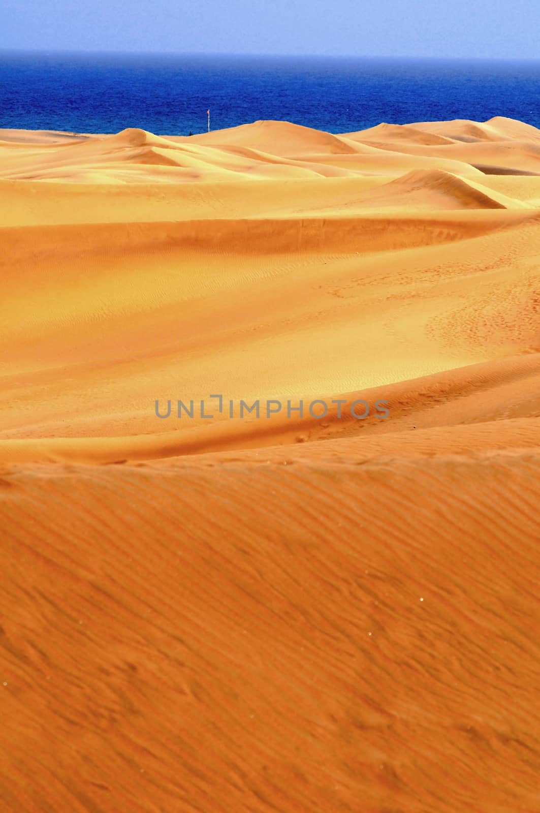 An Orange Sand Desert in Gran Canaria Island, Spain