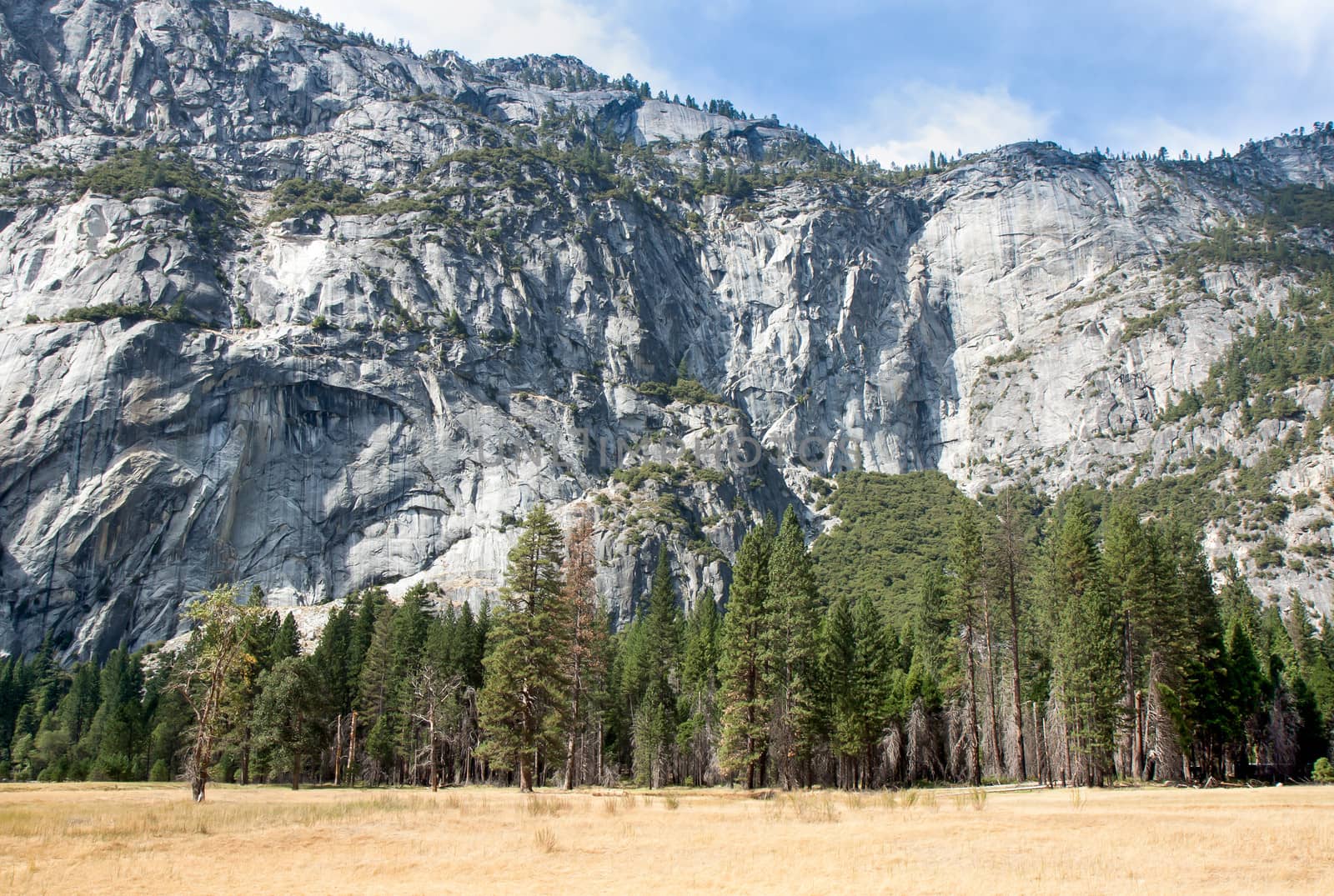 This image shows the lovely flat valley bottom and the dramatic, steep granite wall.