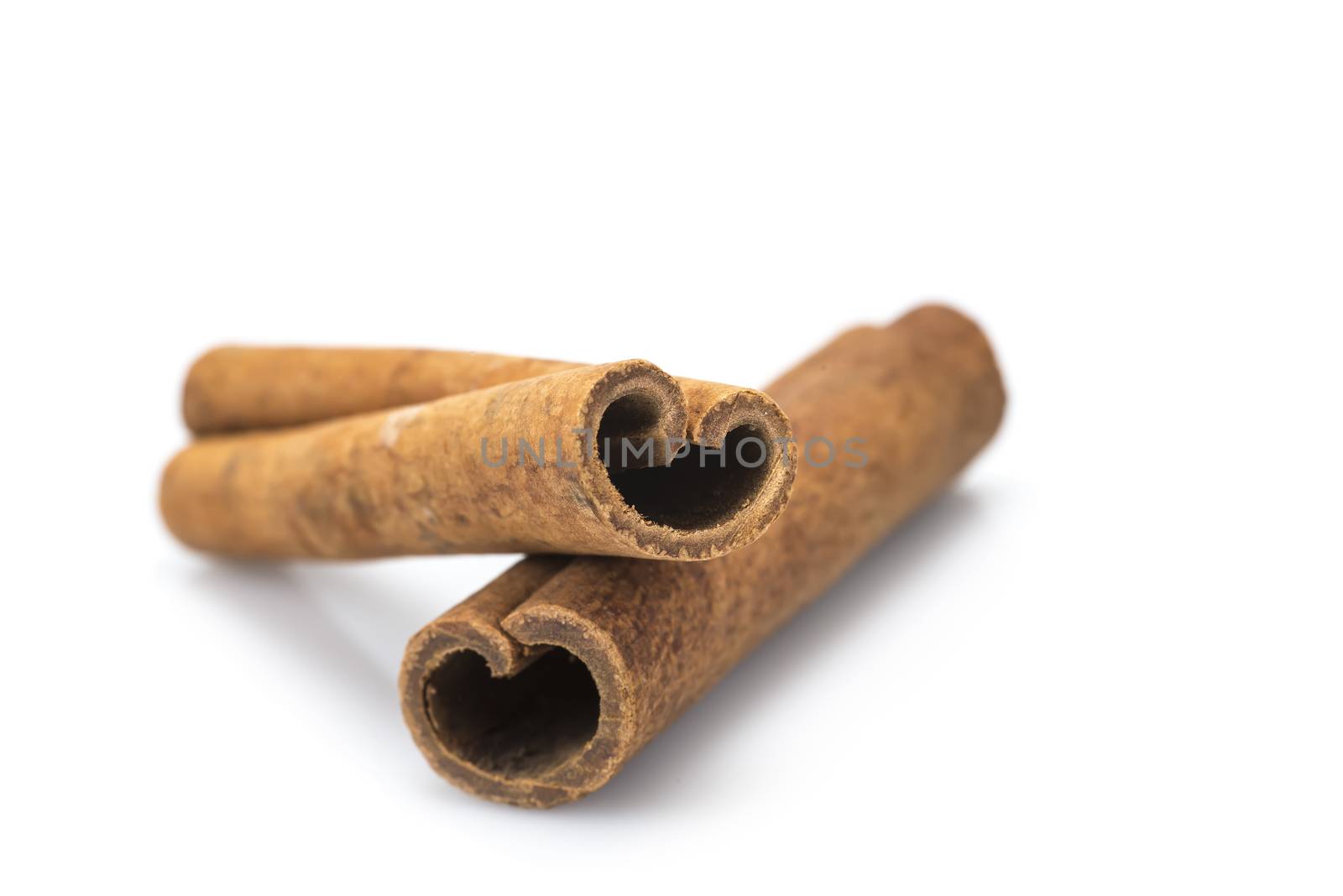 Cinnamon sticks by angelsimon