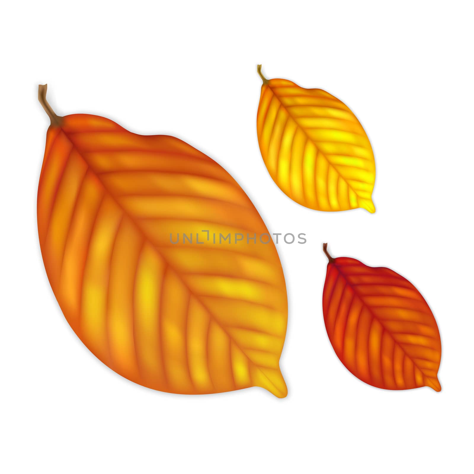 Highly detailed autumn leaves. Illustration contains gradient mesh