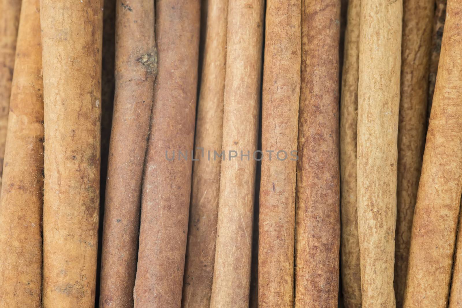 Cinnamon sticks set and star anise showing its wooden texture