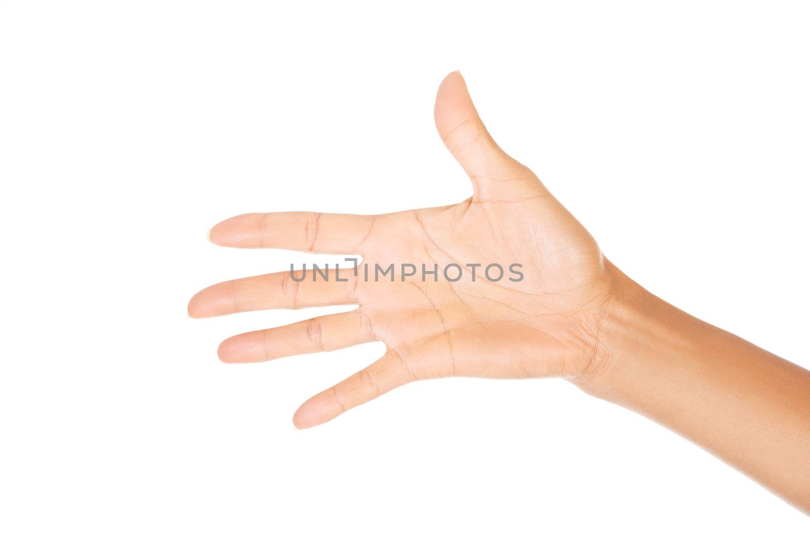 Woman hand (palm) isolated on white background