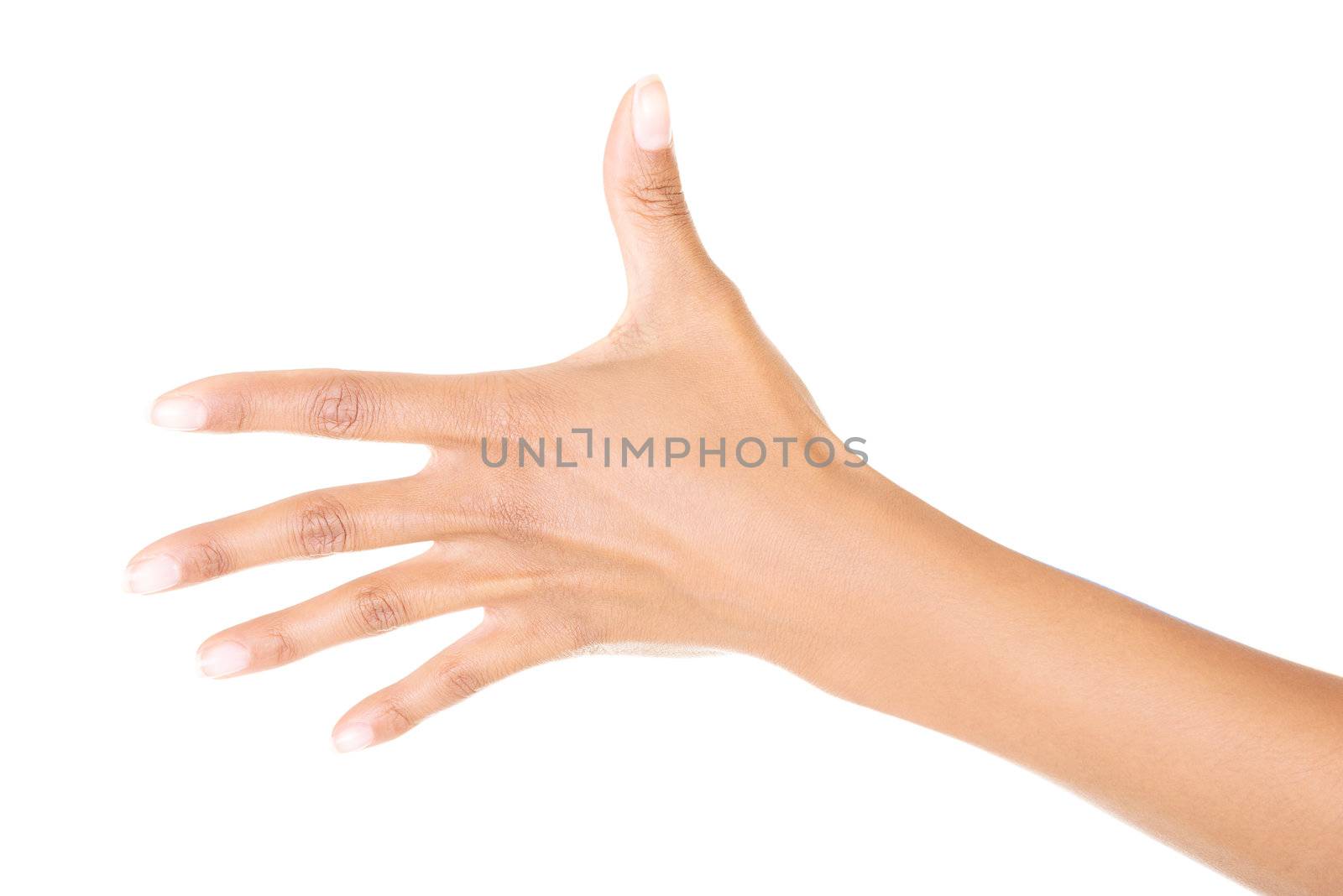 Woman hand (palm) isolated on white background