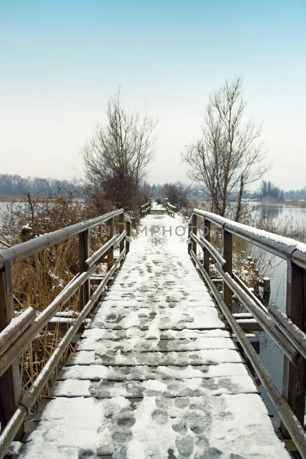 wooden walkway in winter landscape