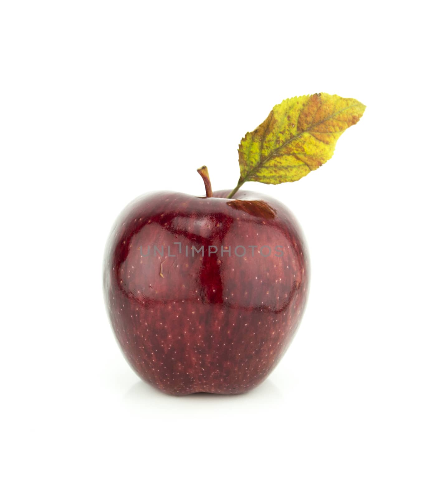 Fresh red apple on white background with a clipping path
