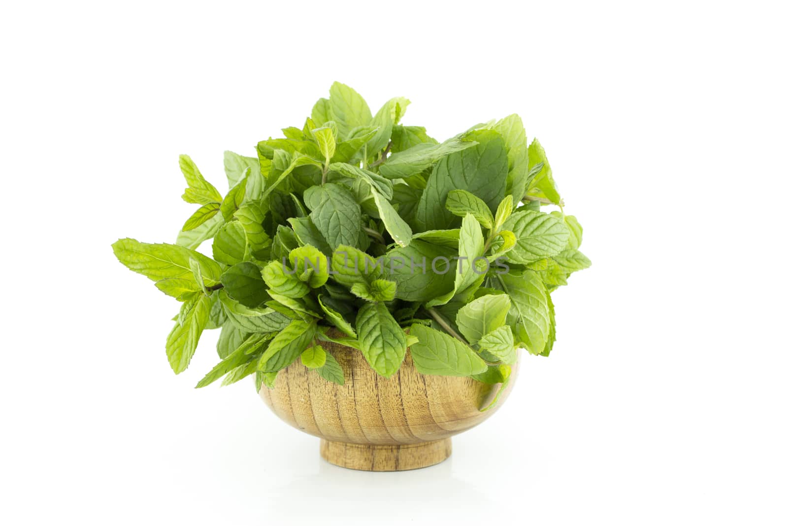 fresh green mints plant in pot on a white background (with clipping work path)