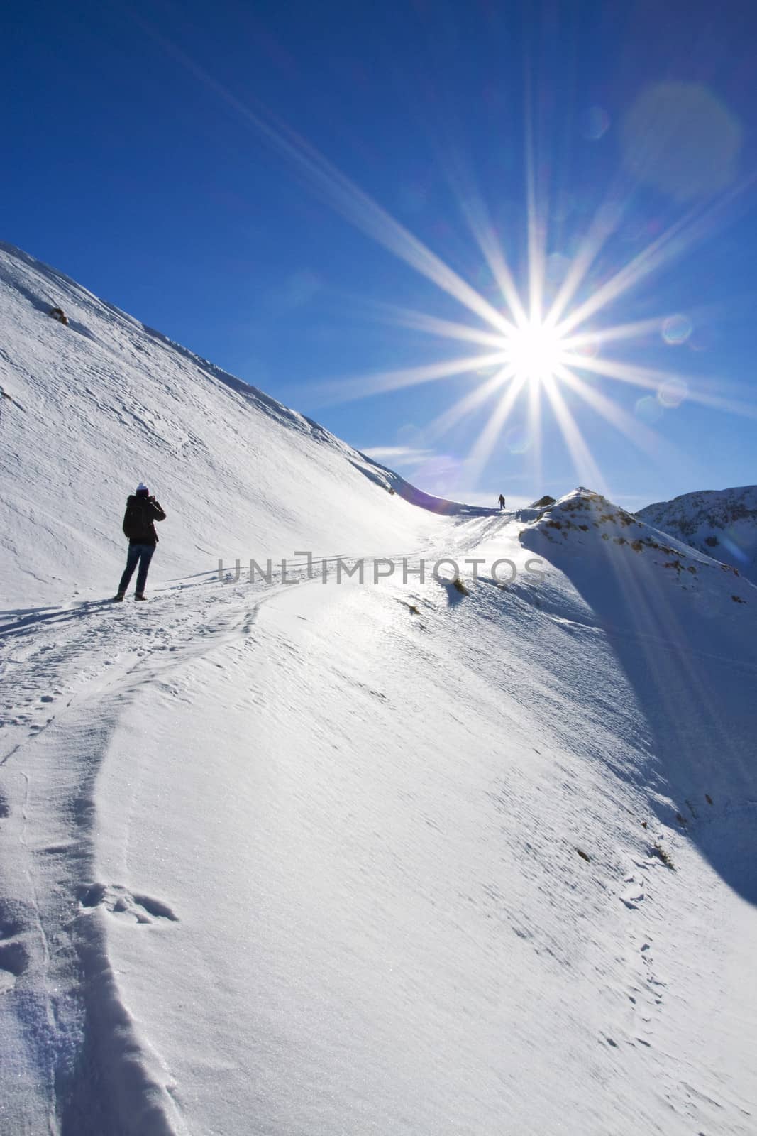 winter landscape by adrenalina