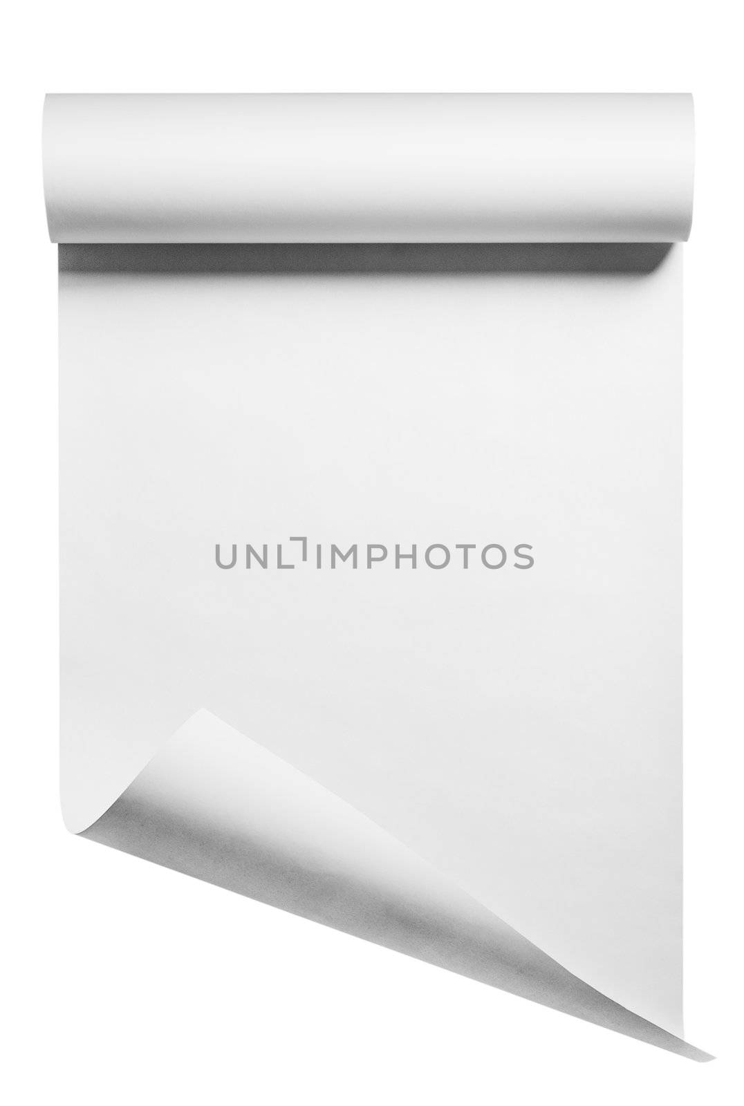roll of paper, isolated by f/2sumicron