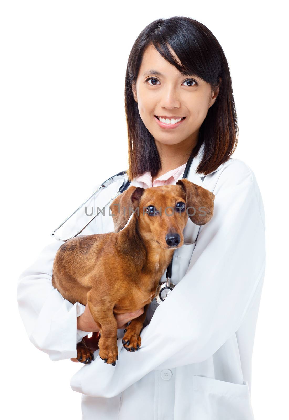 Veterinarian with dachshund dog by leungchopan