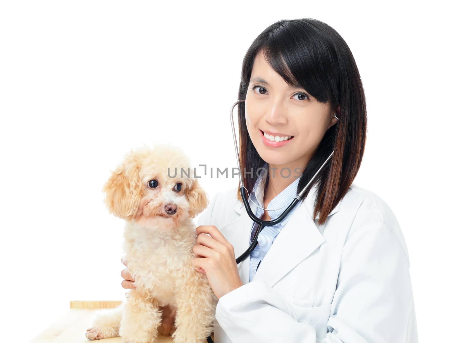 Asian female veterinarian by leungchopan
