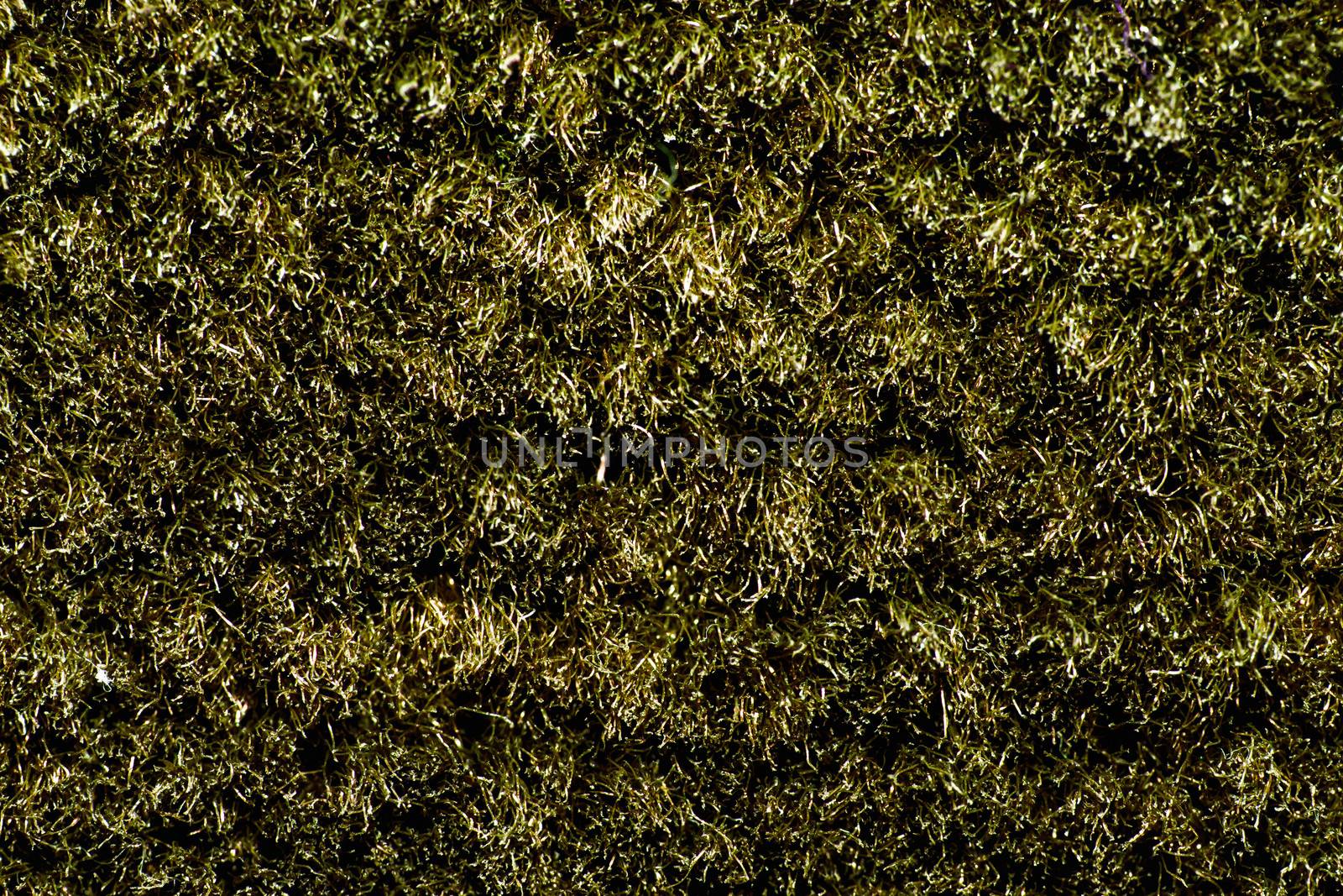 texture of brown carpet with long pile by sfinks