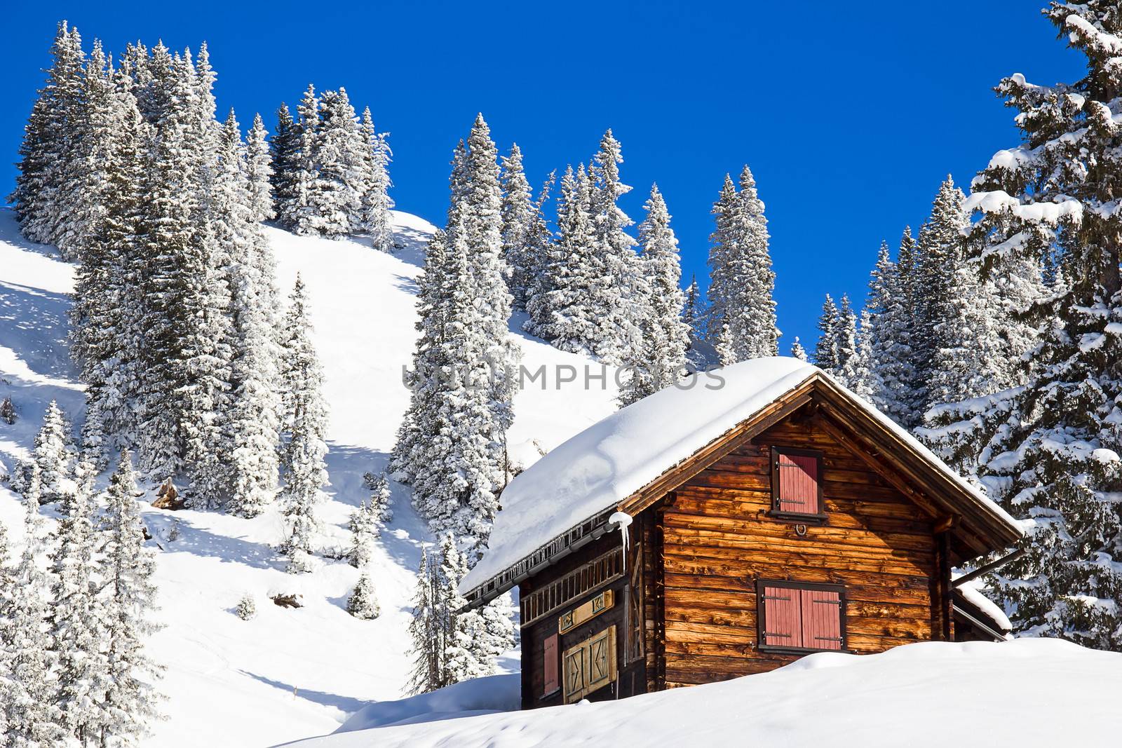 Winter in alps by swisshippo