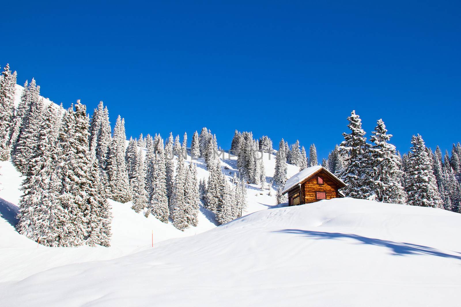 Winter in alps by swisshippo