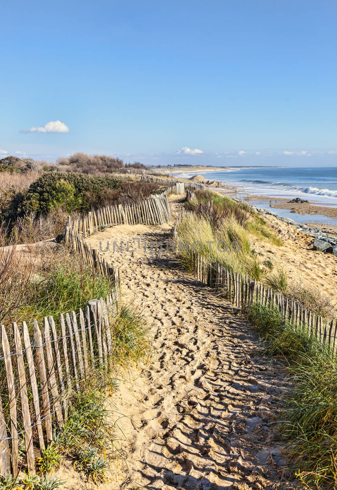 Footpath between wooden fences on the Atlantic Dune in Brittany, in north-west of France.