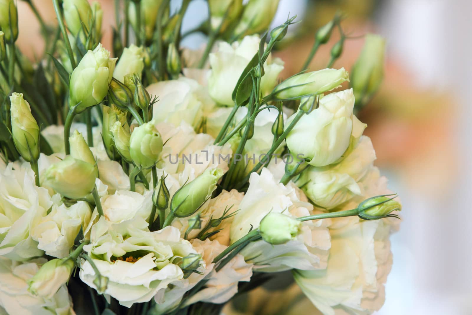 Bouquet of carnation flowers in glass vase