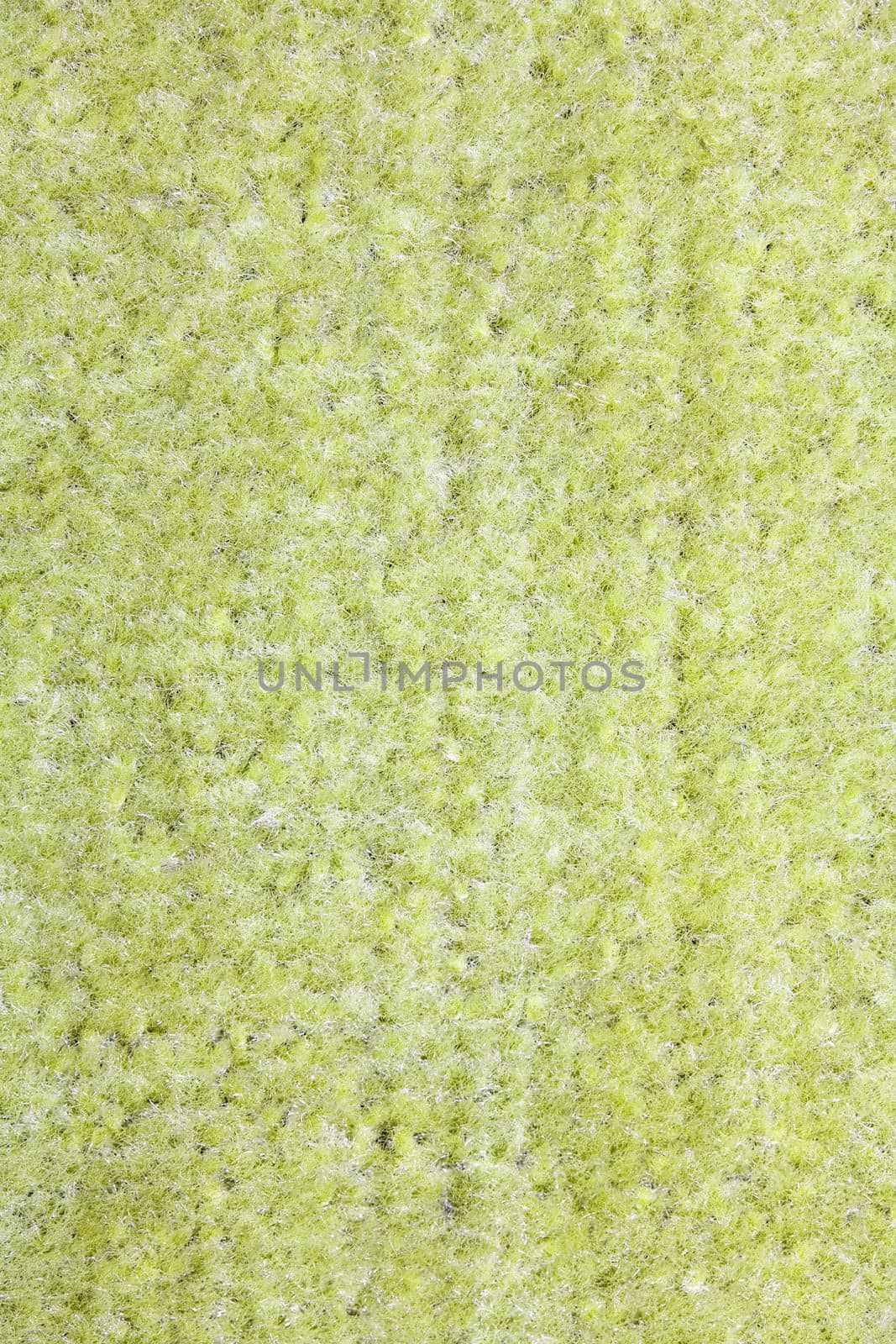 Green carpet texture by sfinks