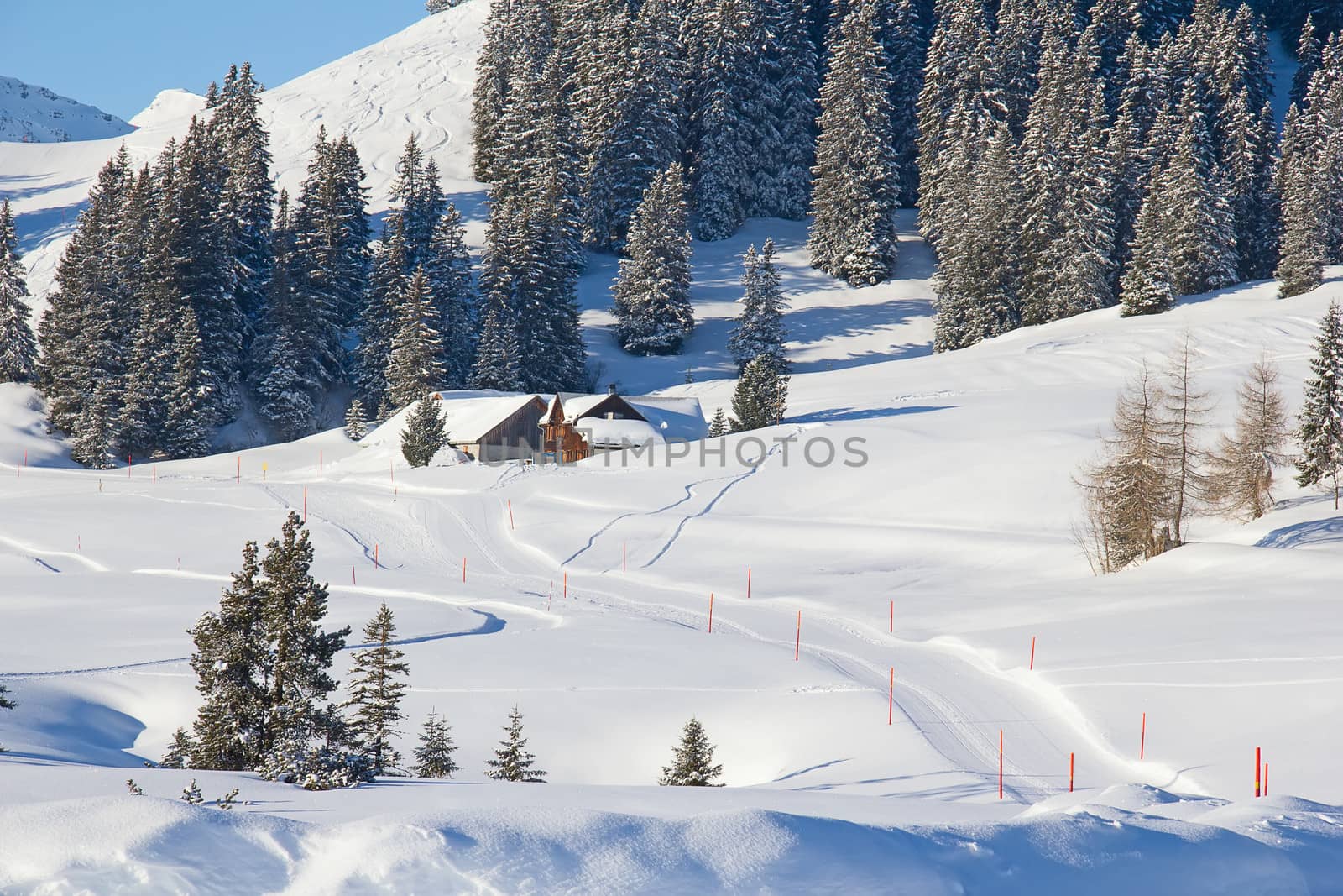 Skiing slope by swisshippo