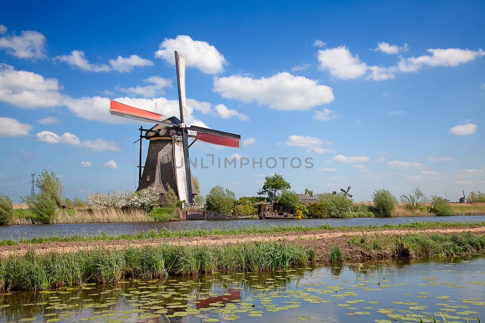 Windmill by swisshippo