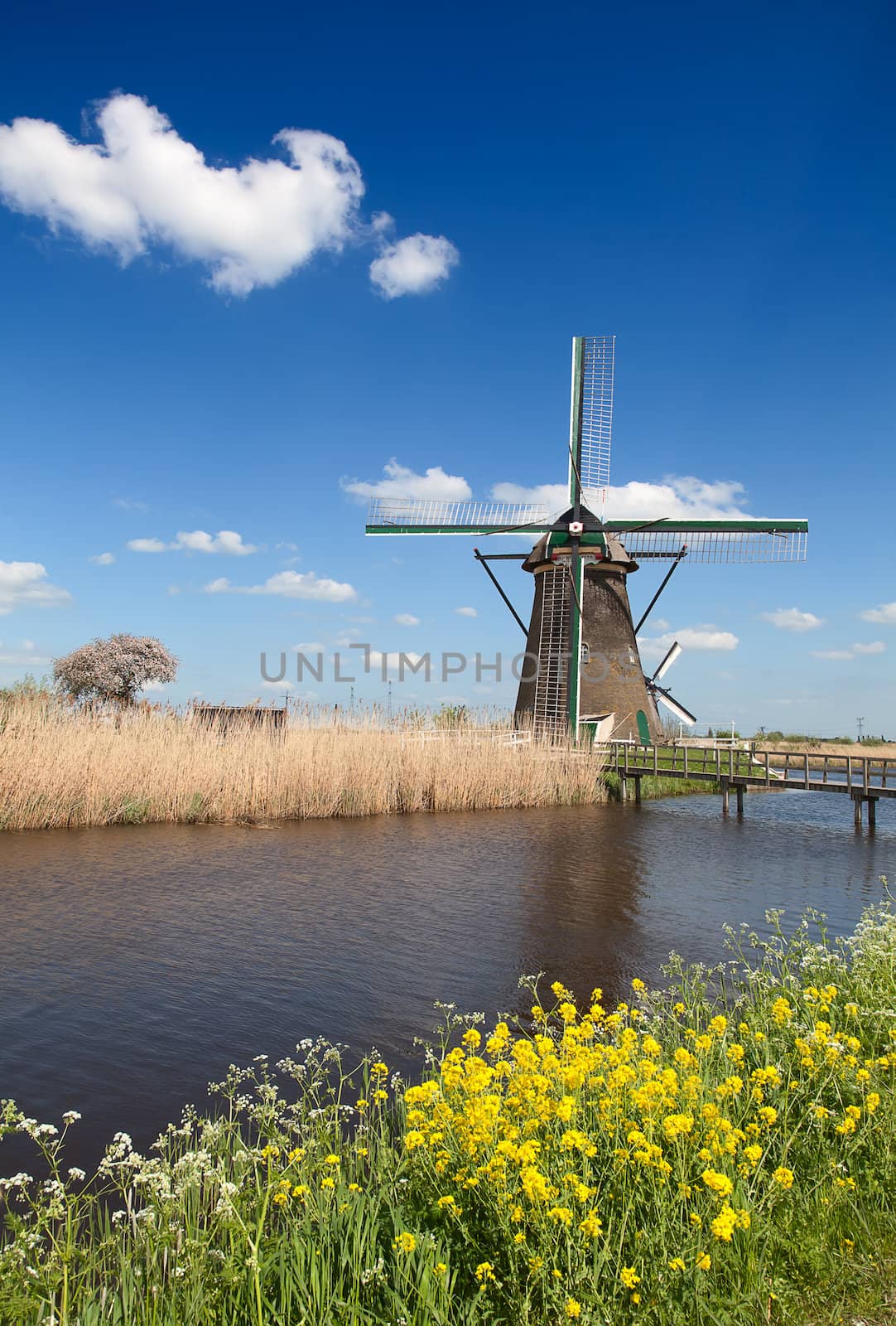 Windmill by swisshippo
