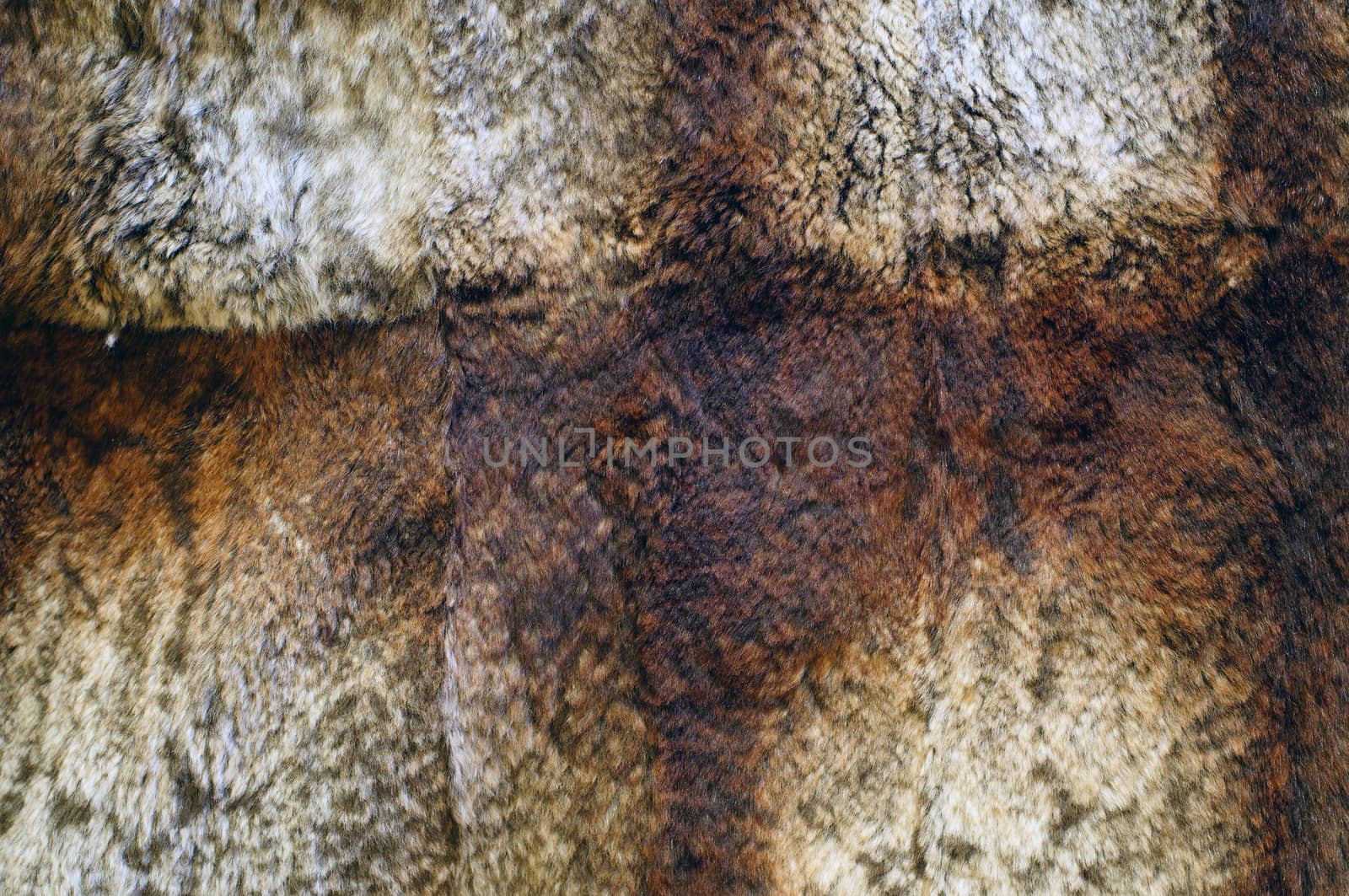 Beautiful fluffy fur texture close-up