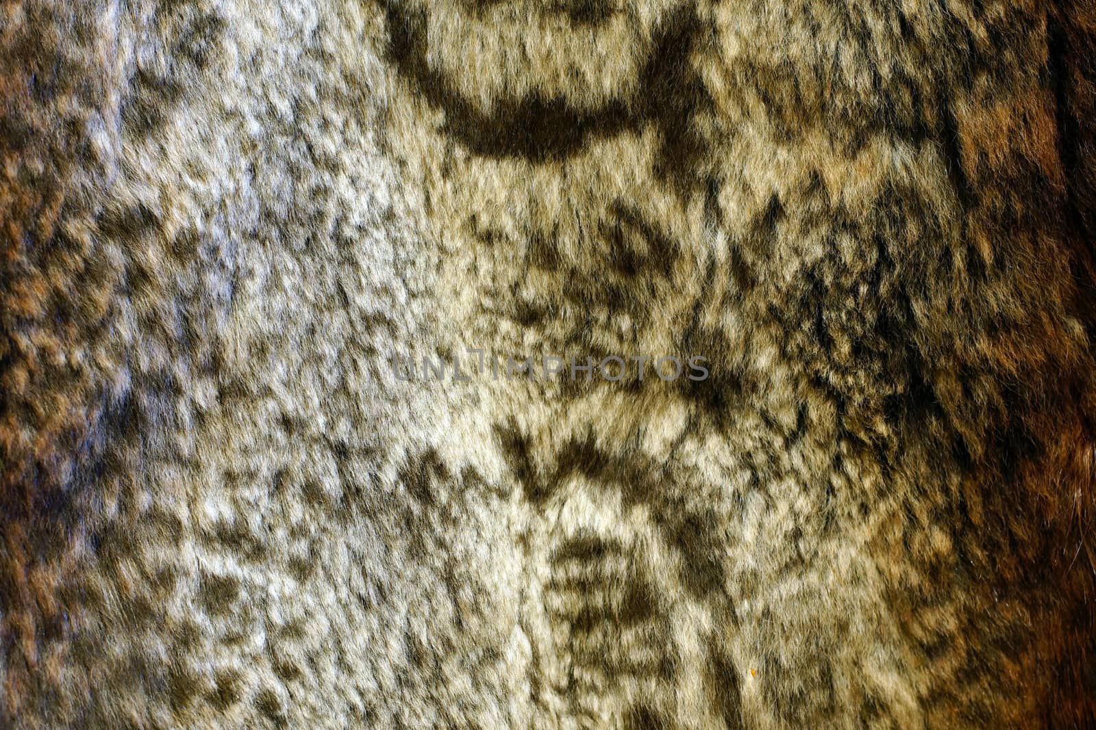 Beautiful fluffy fur texture close-up   