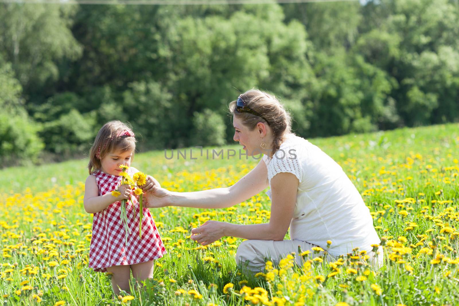 Mother with the small daughter play on a glade with dandelions